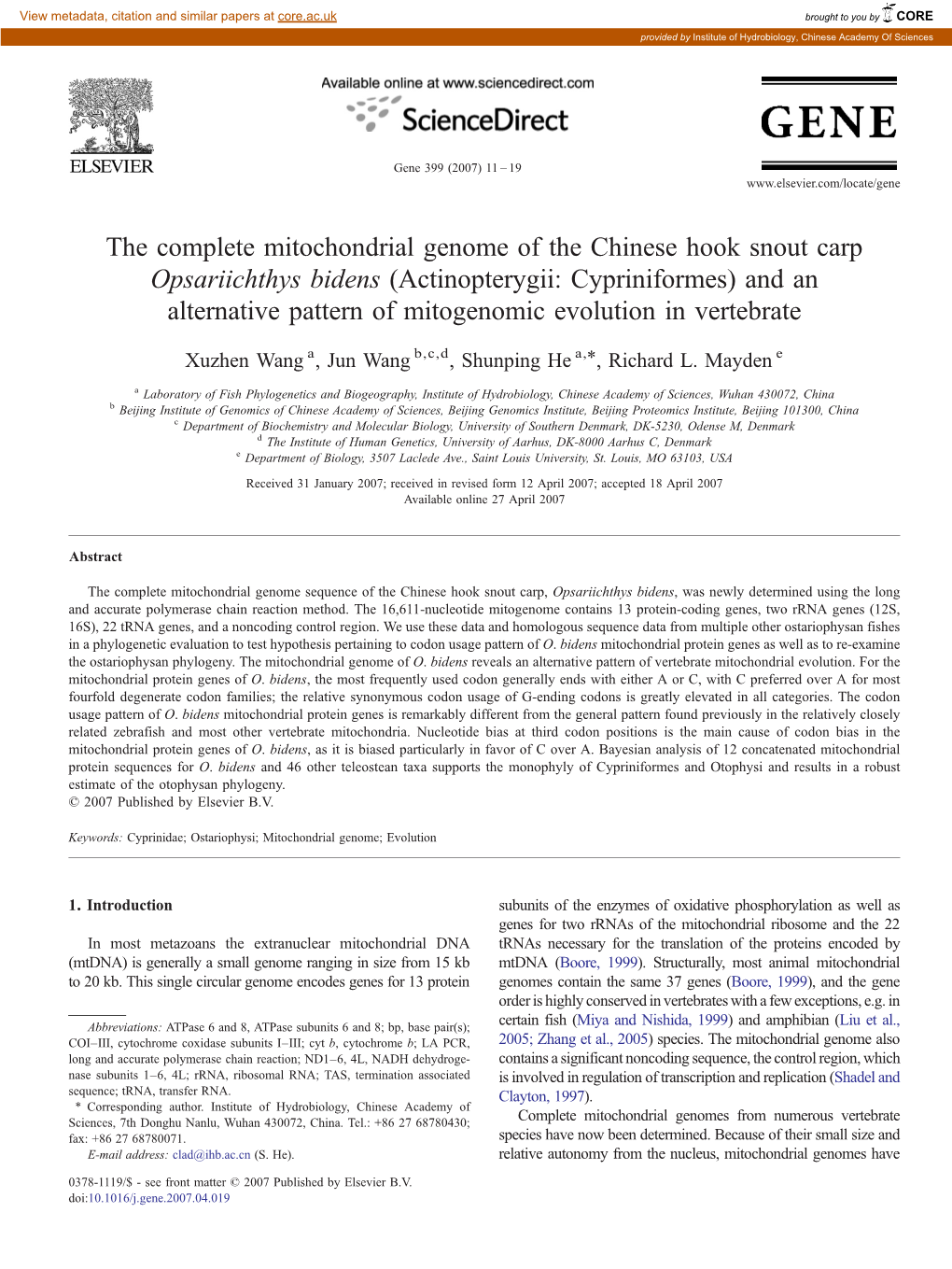 The Complete Mitochondrial Genome of the Chinese Hook Snout