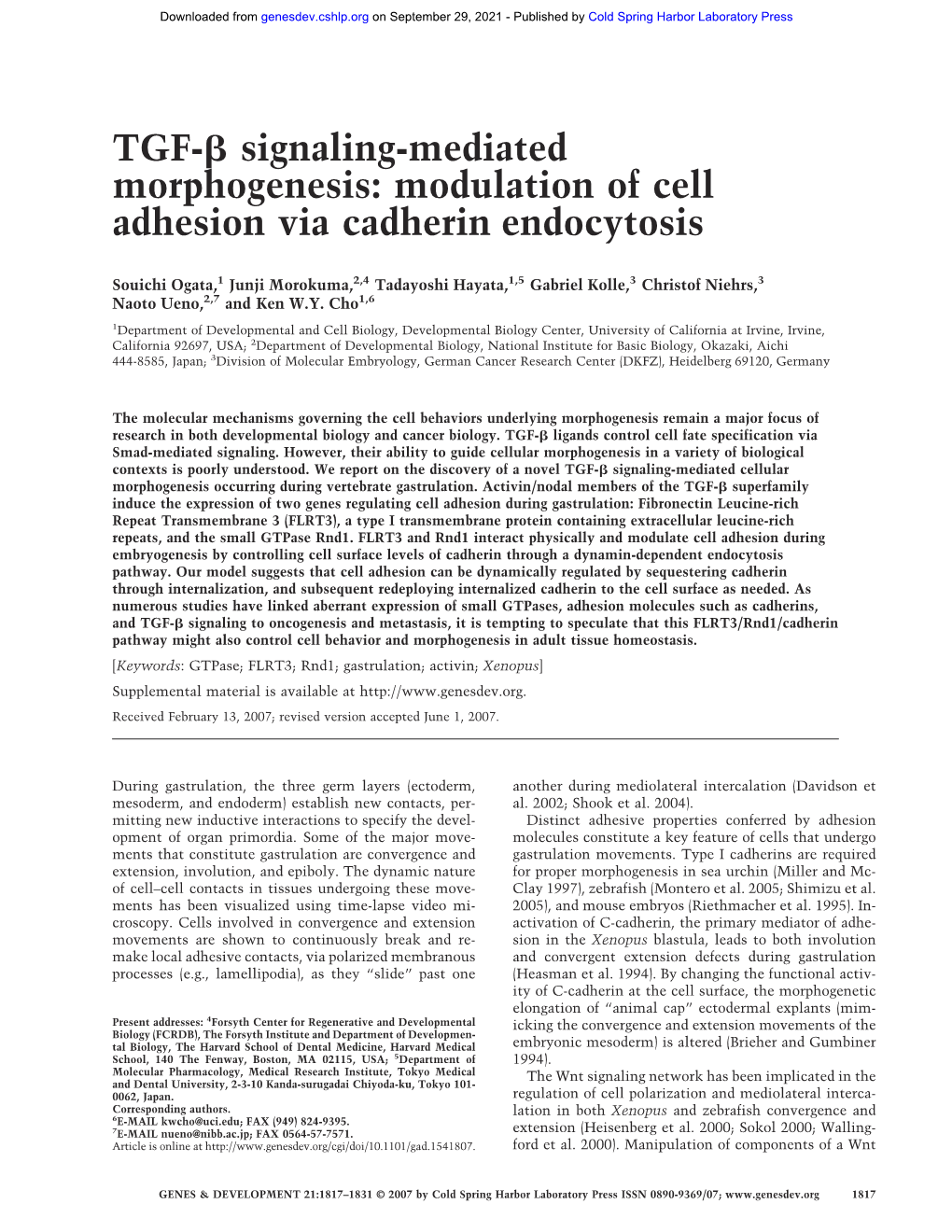 Modulation of Cell Adhesion Via Cadherin Endocytosis