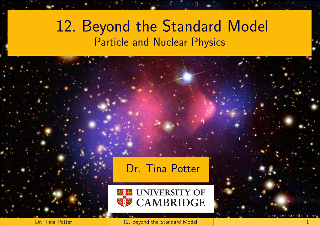 12. Beyond the Standard Model Particle and Nuclear Physics