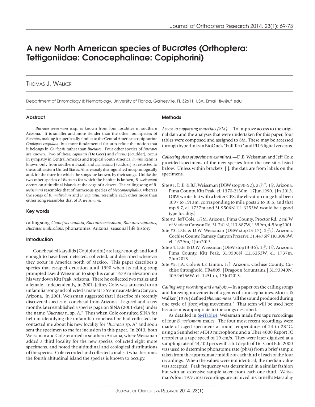 A New North American Species of Bucrates (Orthoptera: Tettigoniidae: Conocephalinae: Copiphorini)