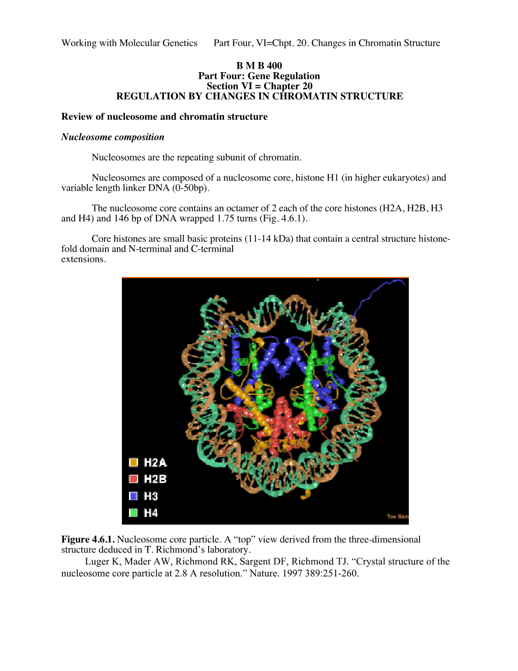 Working with Molecular Genetics Part Four, VI=Chpt. 20. Changes in Chromatin Structure