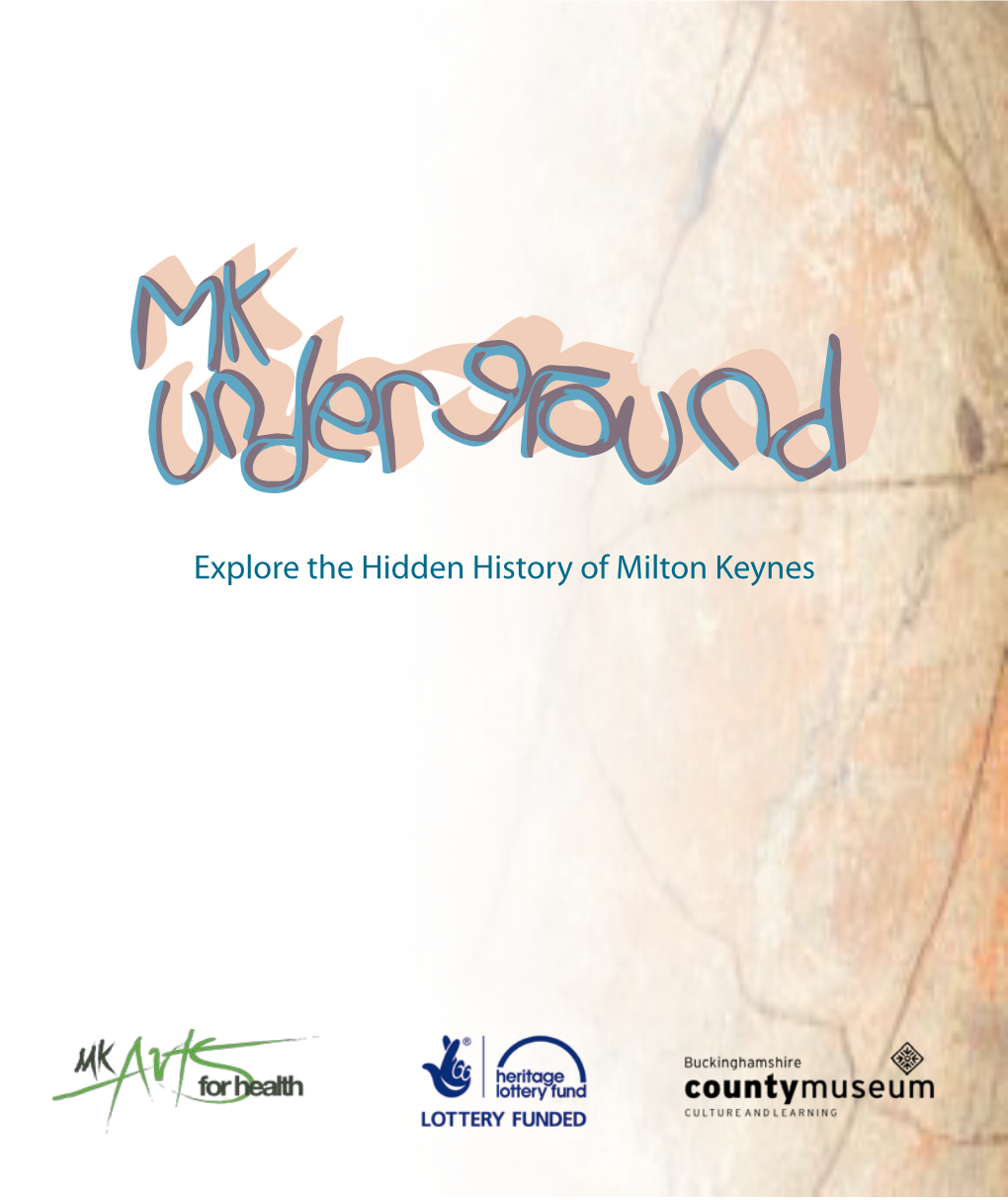 Explore the Hidden History of Milton Keynes Enhancing Health and Healing Through Creativity