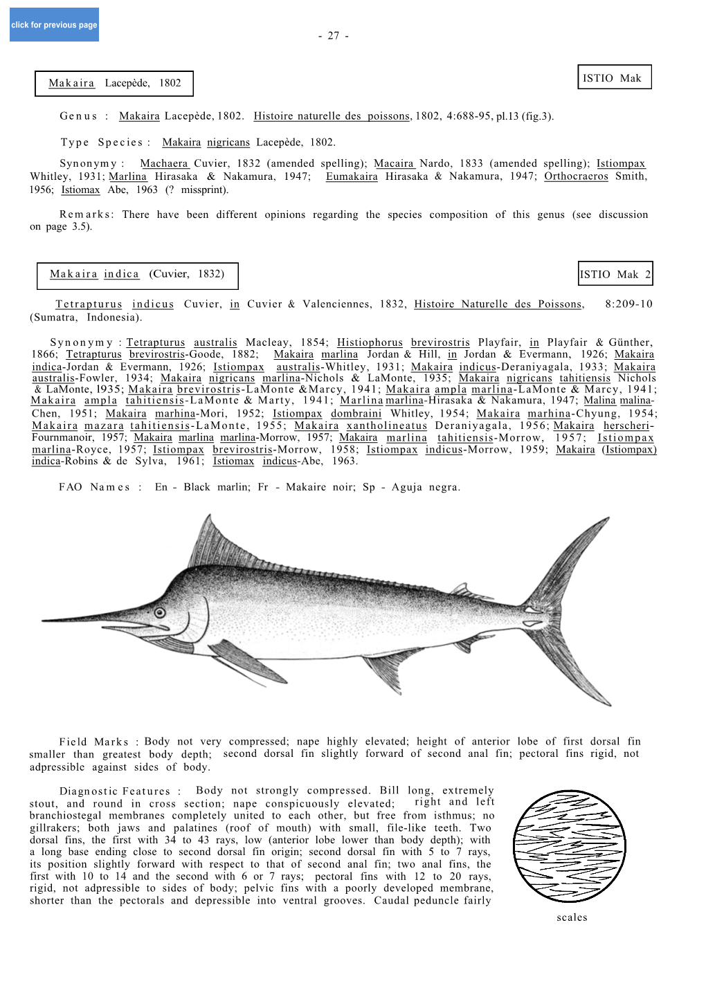 Makaira Lacepède, 1802 Genus