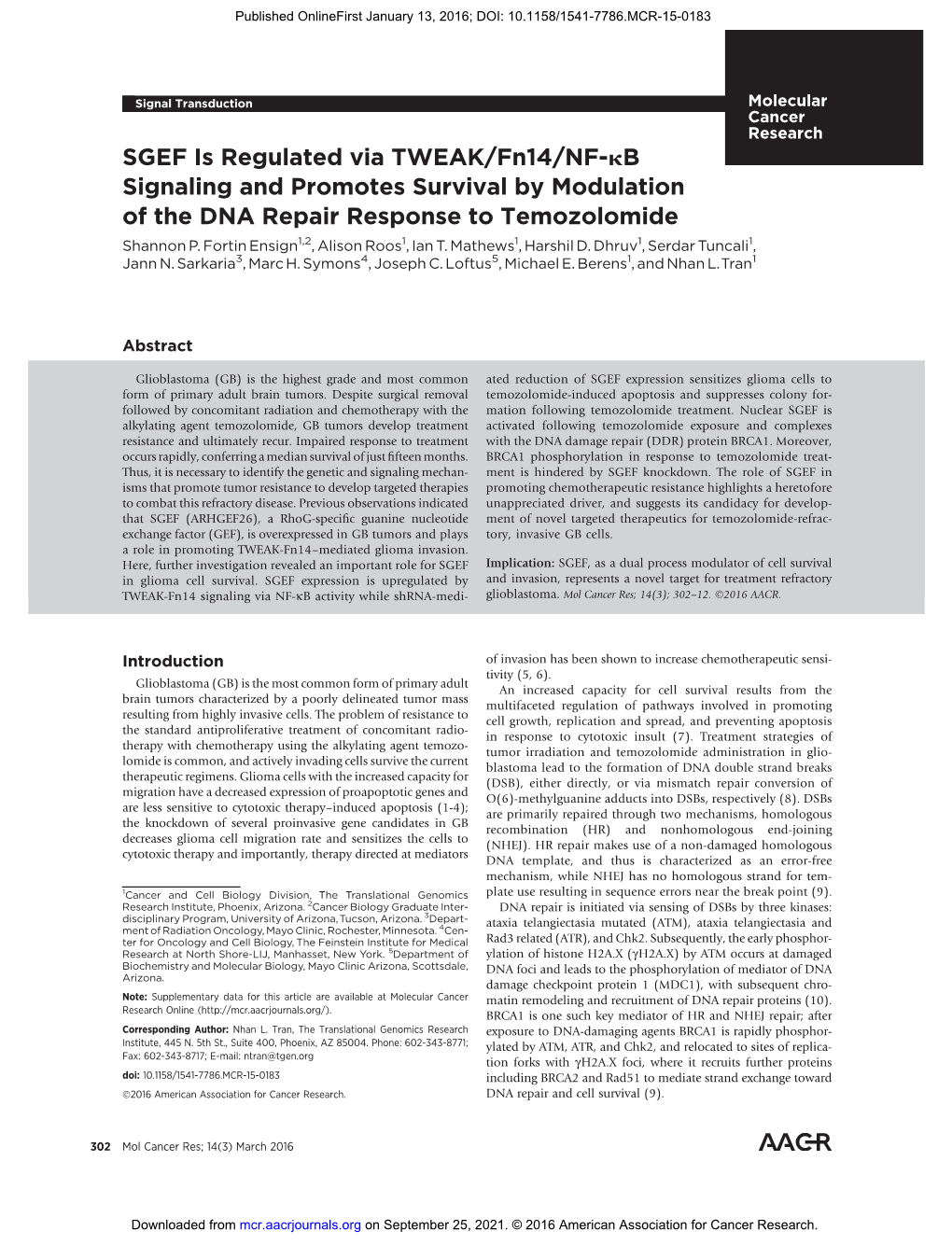 SGEF Is Regulated Via TWEAK/Fn14/NF-Kb Signaling and Promotes Survival by Modulation of the DNA Repair Response to Temozolomide Shannon P