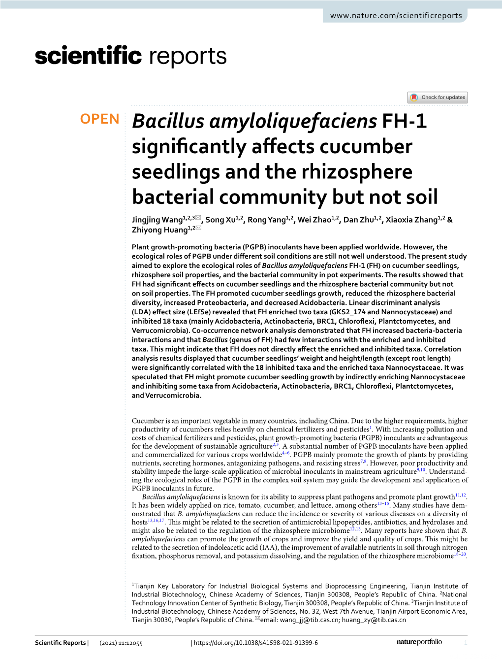 Bacillus Amyloliquefaciens FH-1 Significantly Affects Cucumber