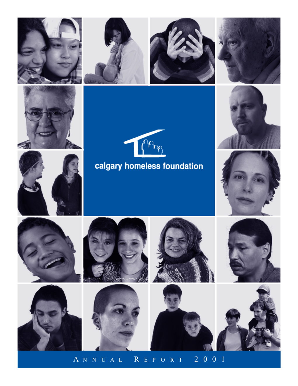 CHF Annual Report 2001