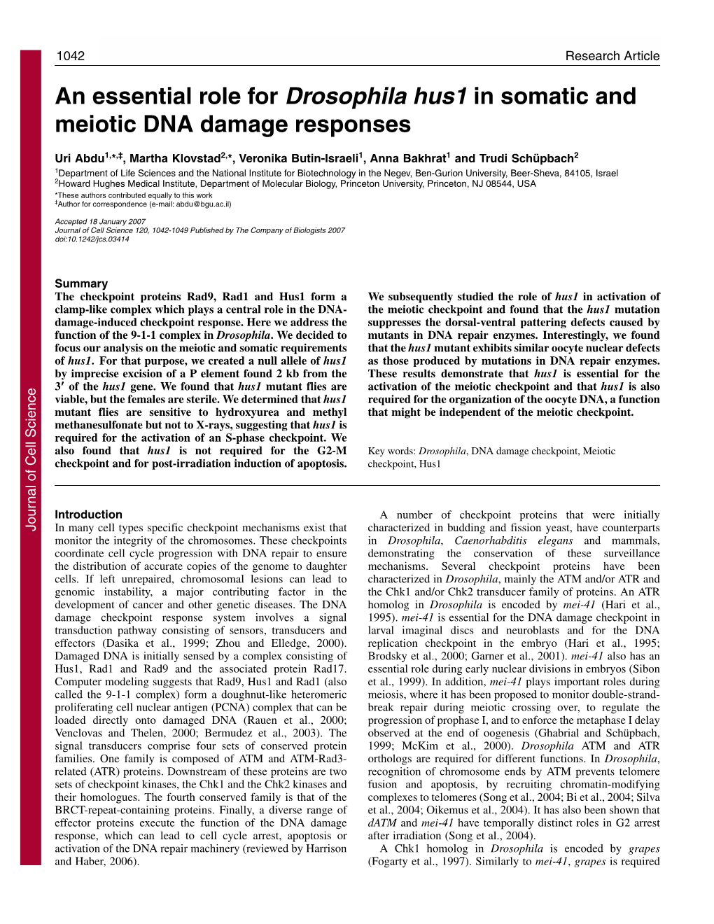 An Essential Role for Drosophila Hus1 in Somatic and Meiotic DNA Damage Responses