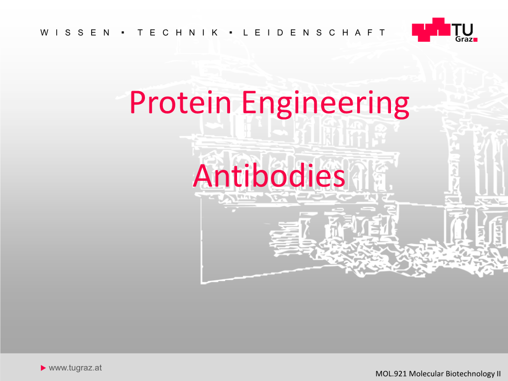 Protein Engineering Antibodies