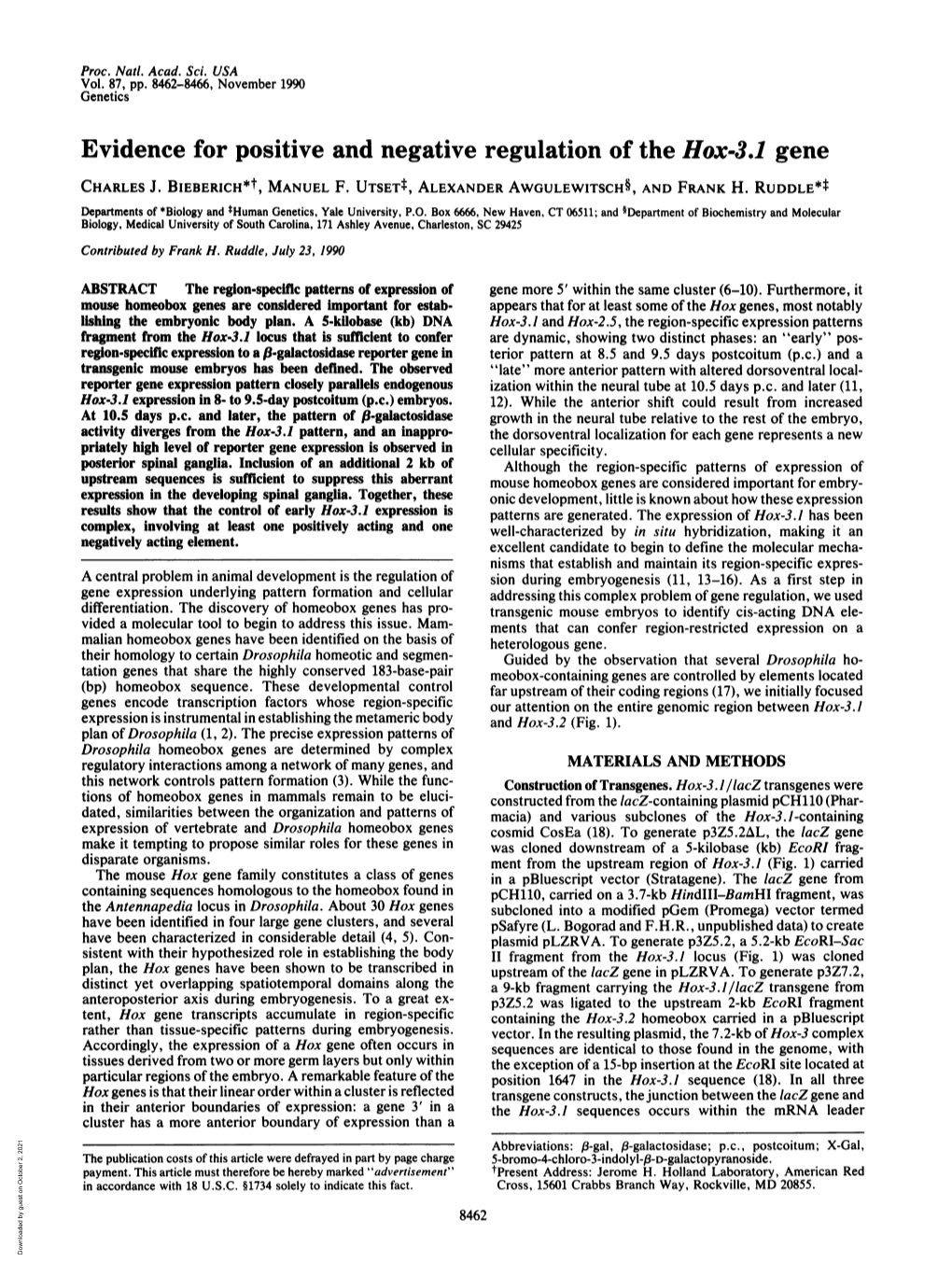 Evidence for Positive and Negative Regulation of the Hox-3.1 Gene CHARLES J