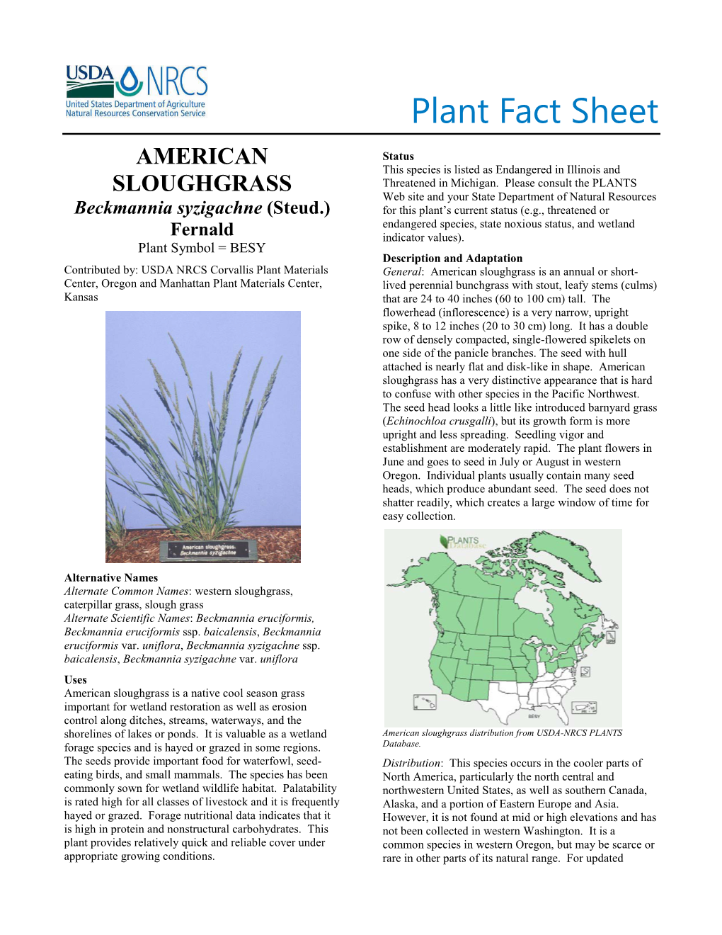 Plant Fact Sheet for American Sloughgrass (Beckmannia