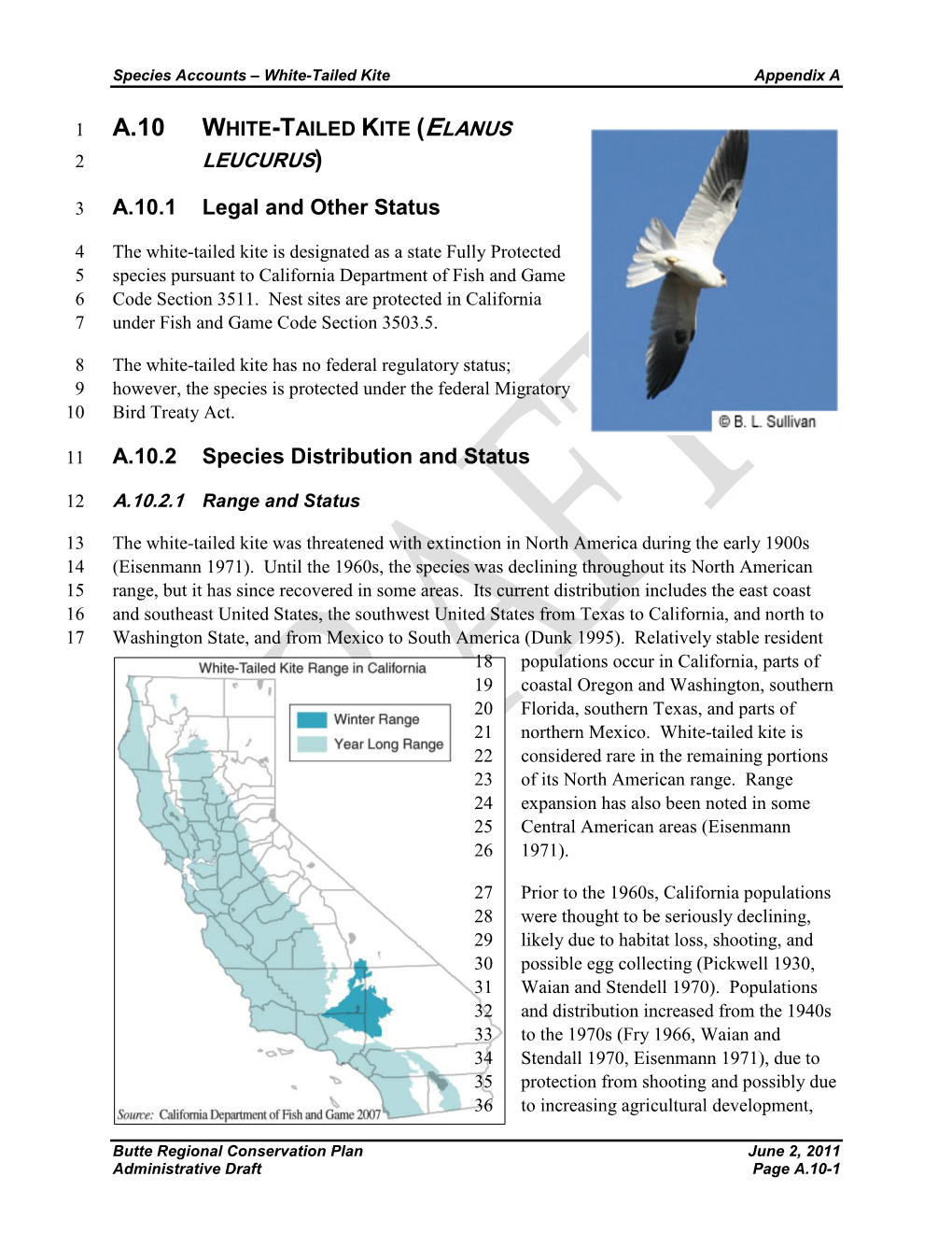 A.10 White-Tailed Kite (Elanus 2 Leucurus)