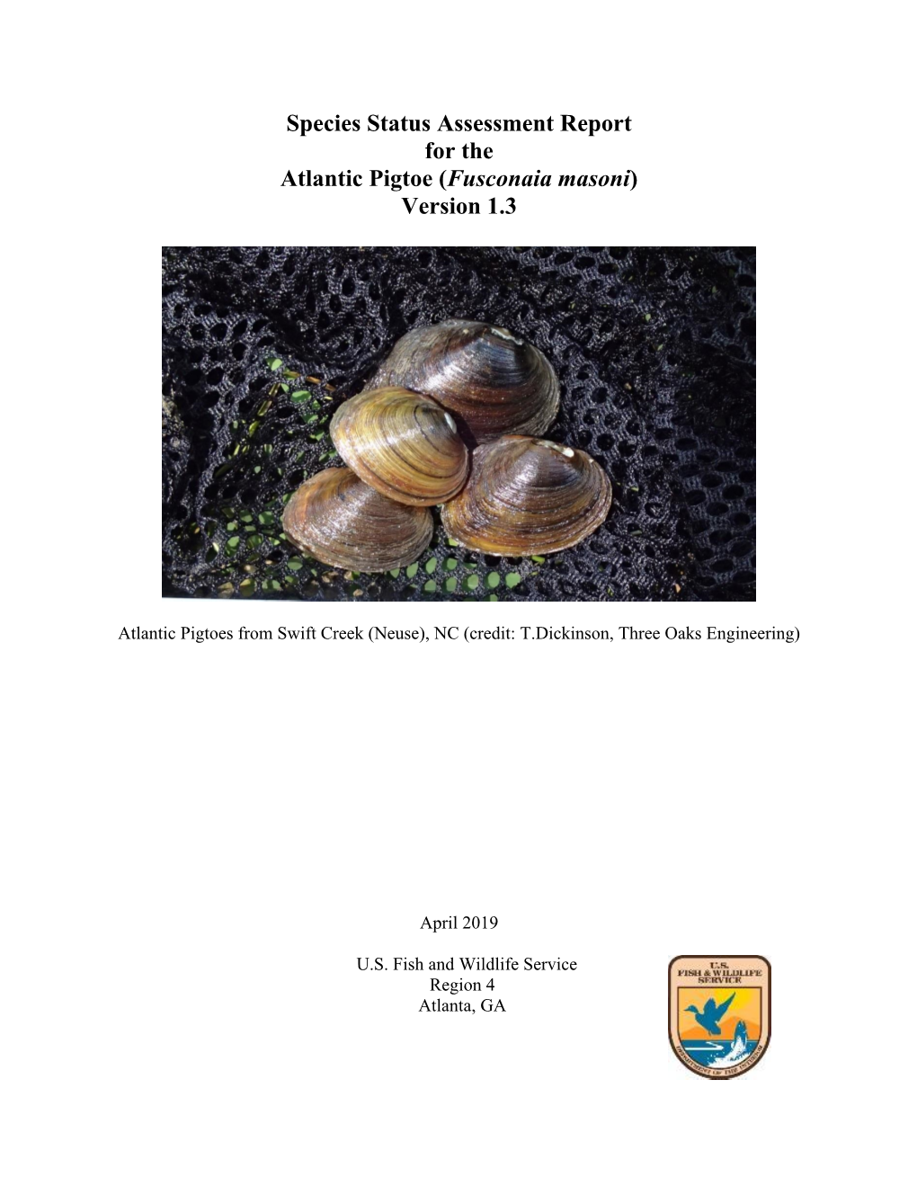Atlantic Pigtoe Species Status Assessment