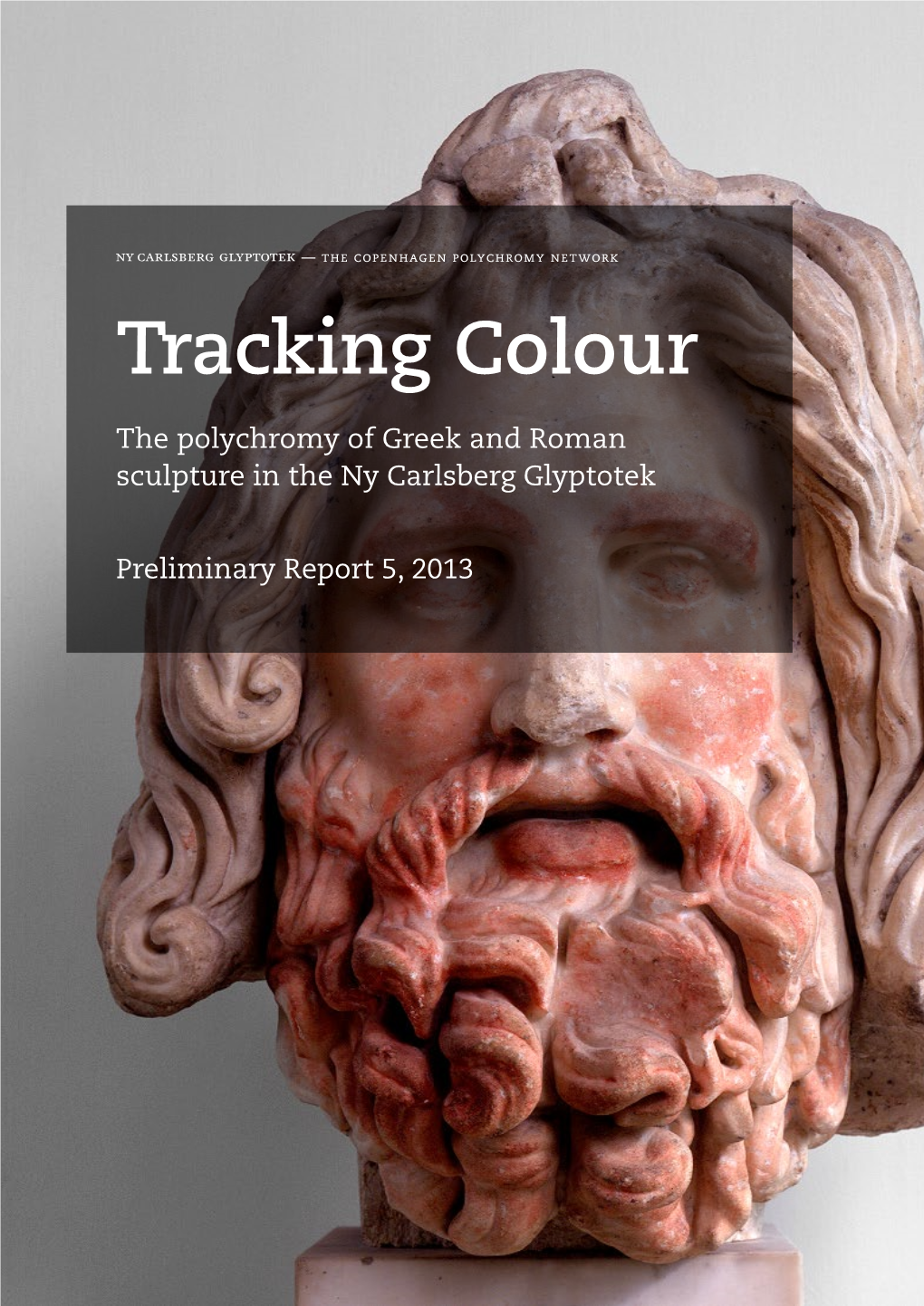 Preliminary Report 5, 2013 — the Copenhagen Polychromy Network Tracking Colour