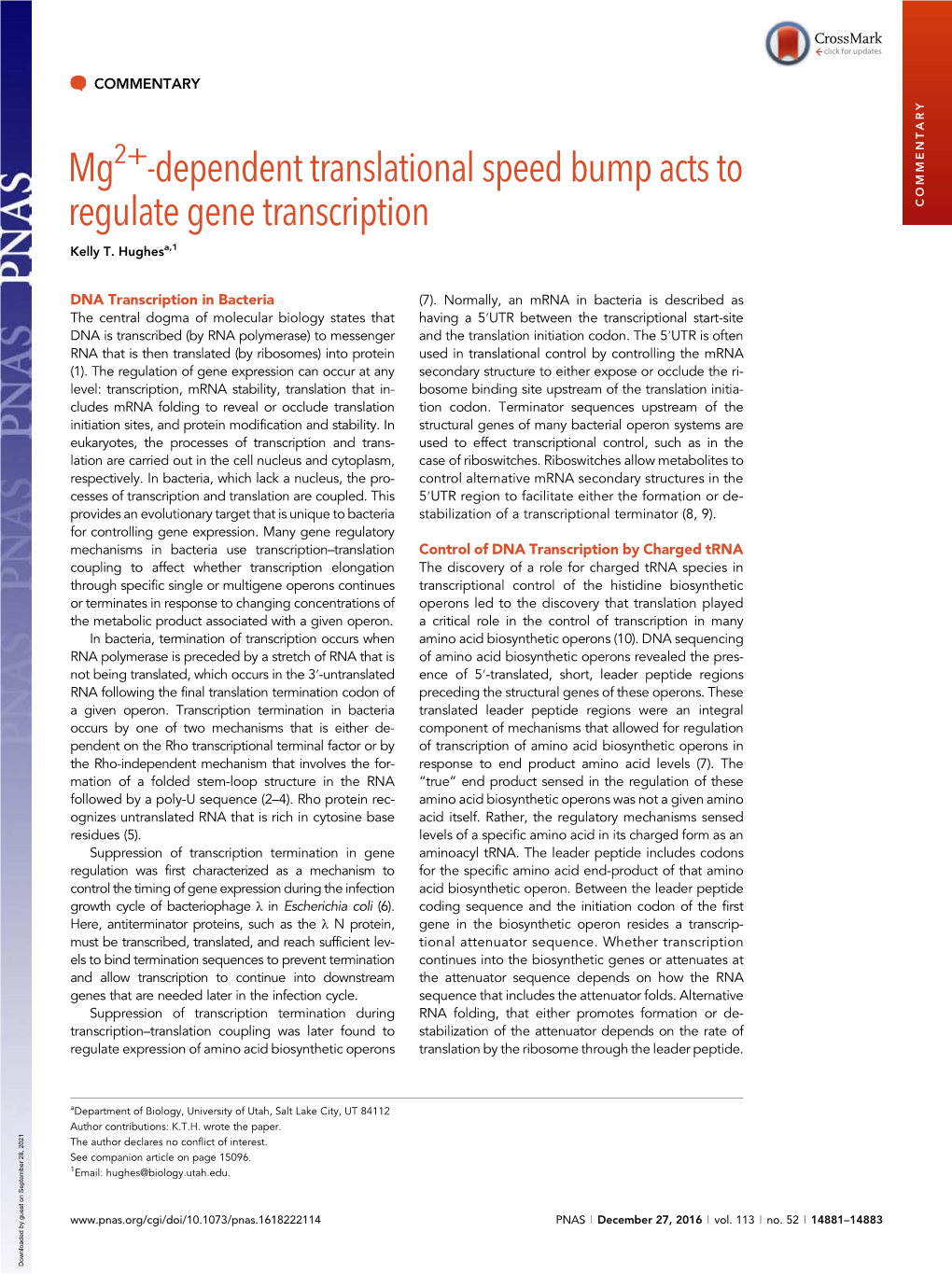 Mg2+-Dependent Translational Speed Bump Acts to Regulate