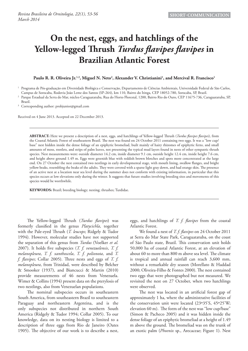 On the Nest, Eggs, and Hatchlings of the Yellow-Legged Thrush Turdus ﬂavipes ﬂavipes in Brazilian Atlantic Forest