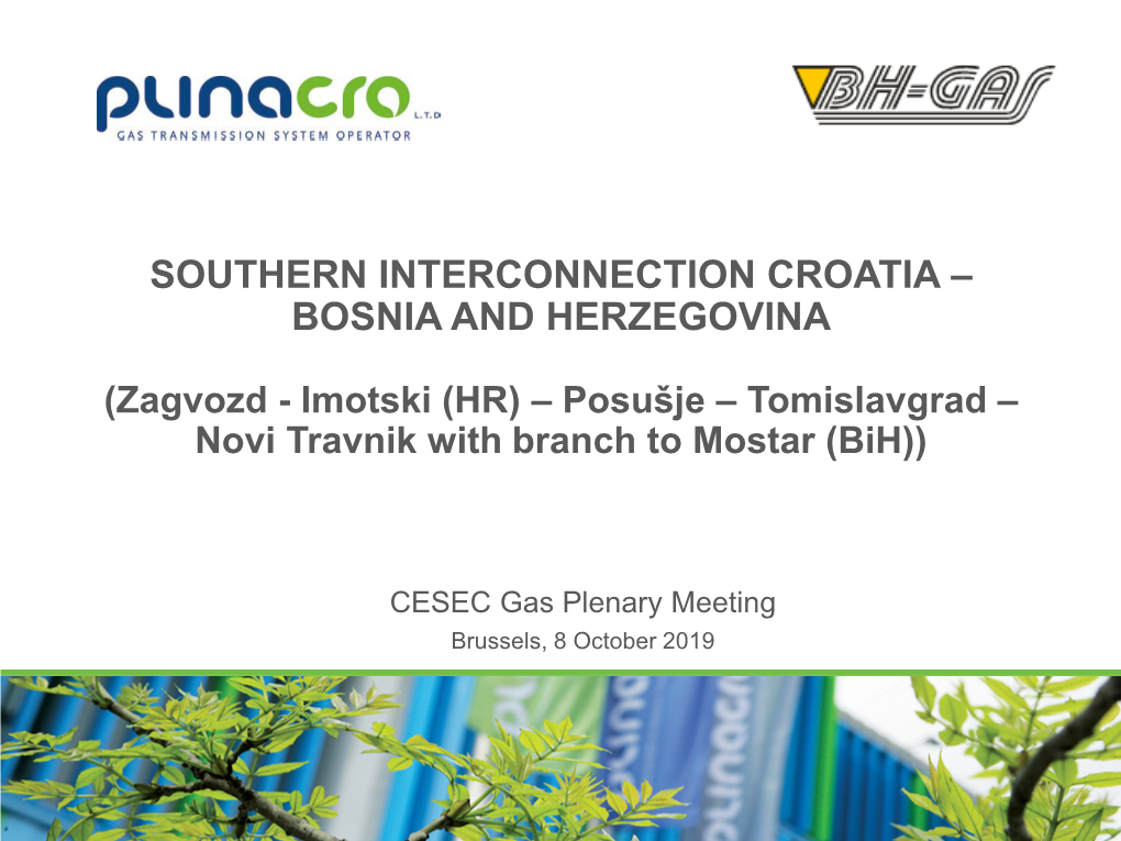 Southern Interconnection Croatia – Bosnia and Herzegovina