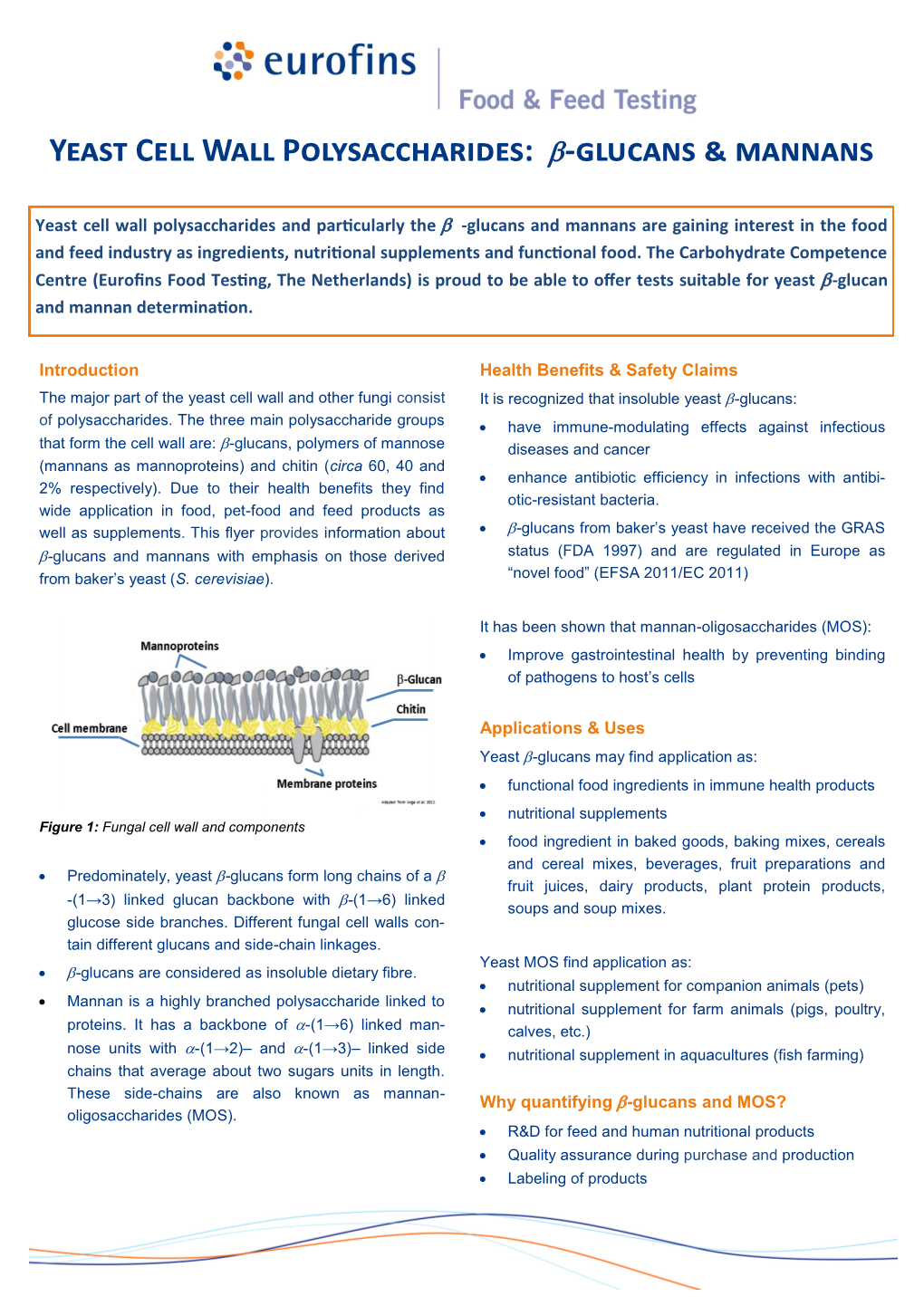 Yeast Cell Wall Polysaccharides: Β-Glucans & Mannans