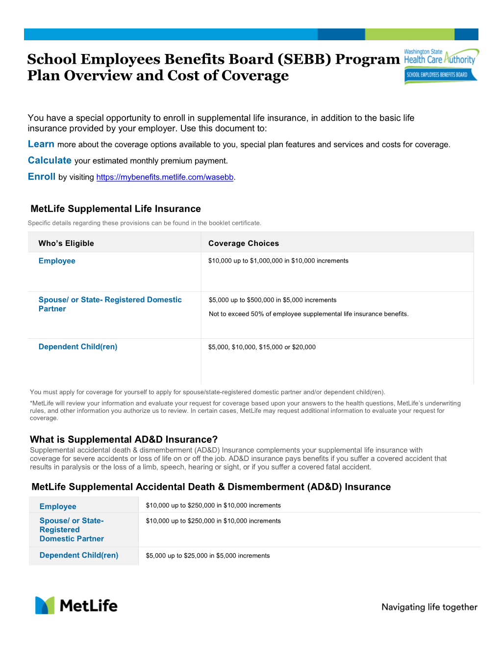 Life Insurance Plan Summary