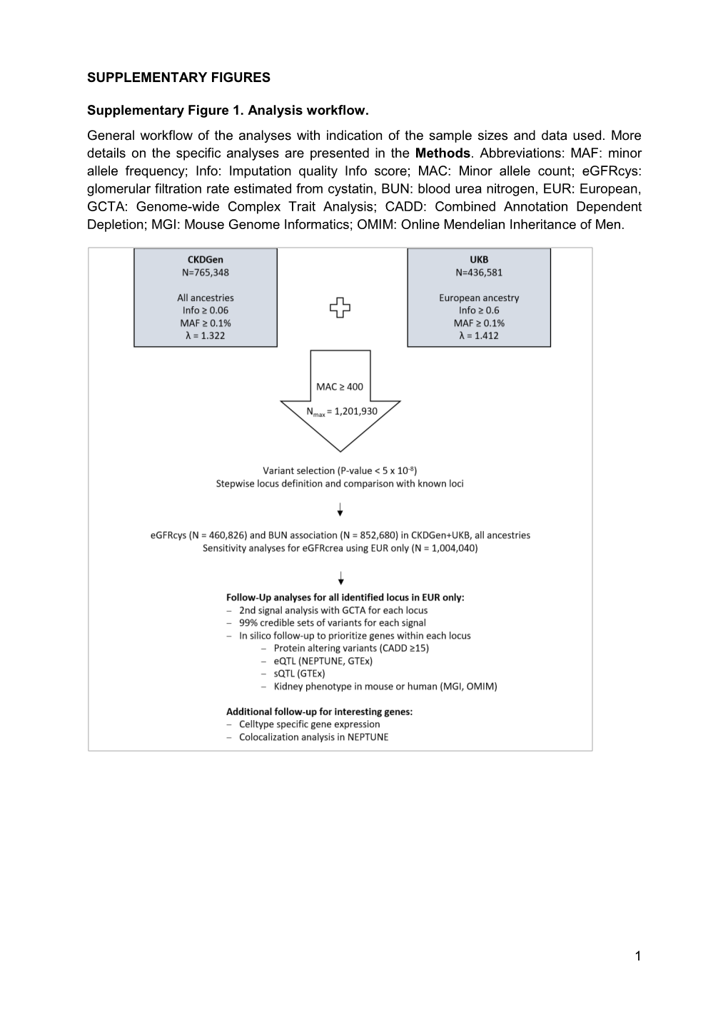 1 SUPPLEMENTARY FIGURES Supplementary Figure 1. Analysis