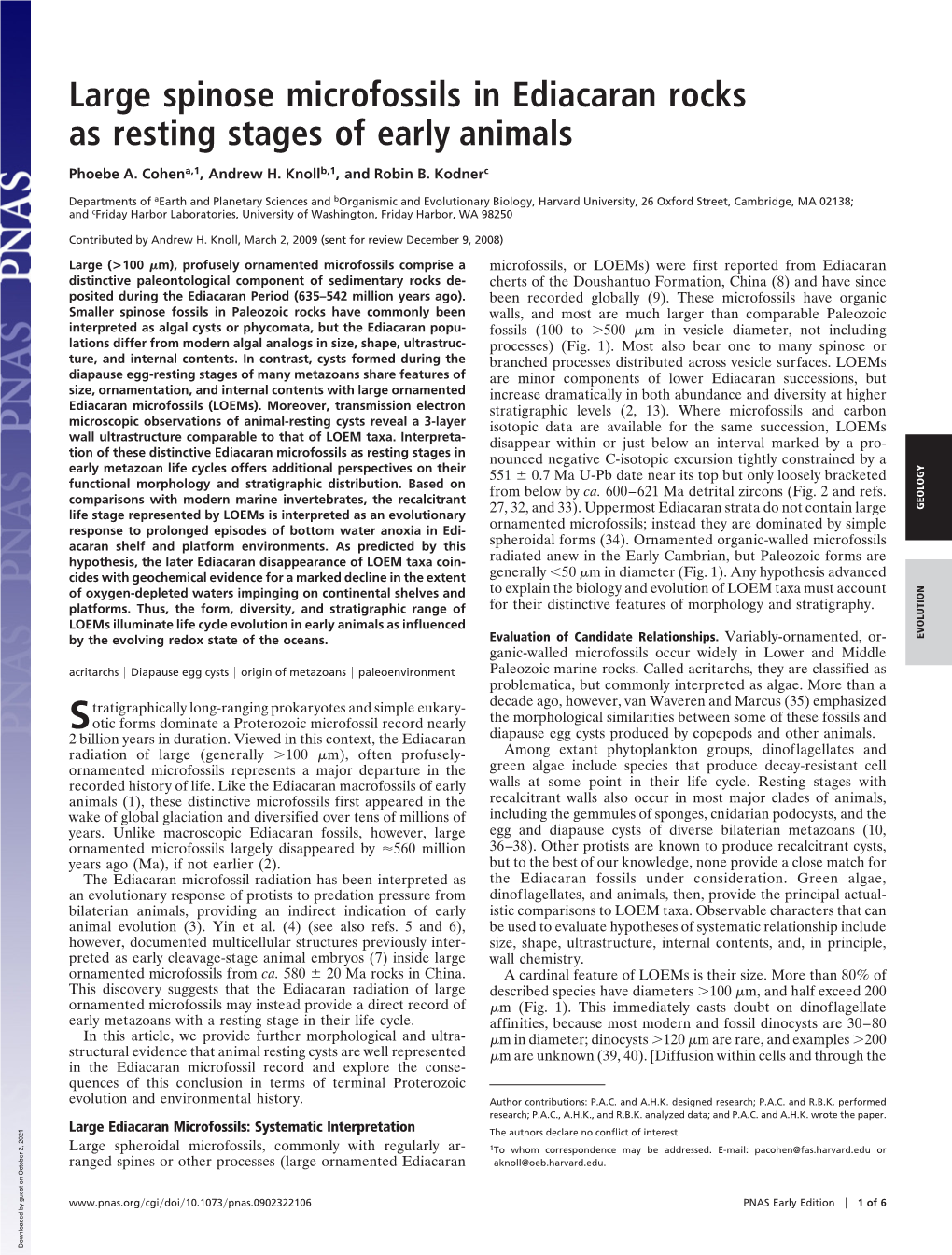 Large Spinose Microfossils in Ediacaran Rocks As Resting Stages of Early Animals