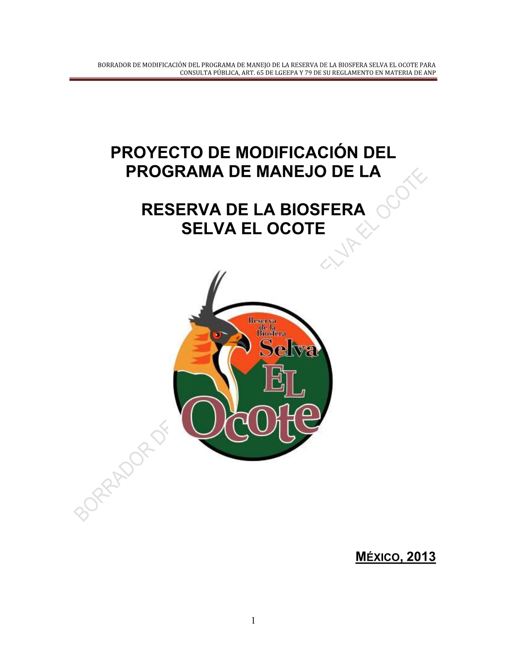 Actualización PM REBISO 2013.Pdf