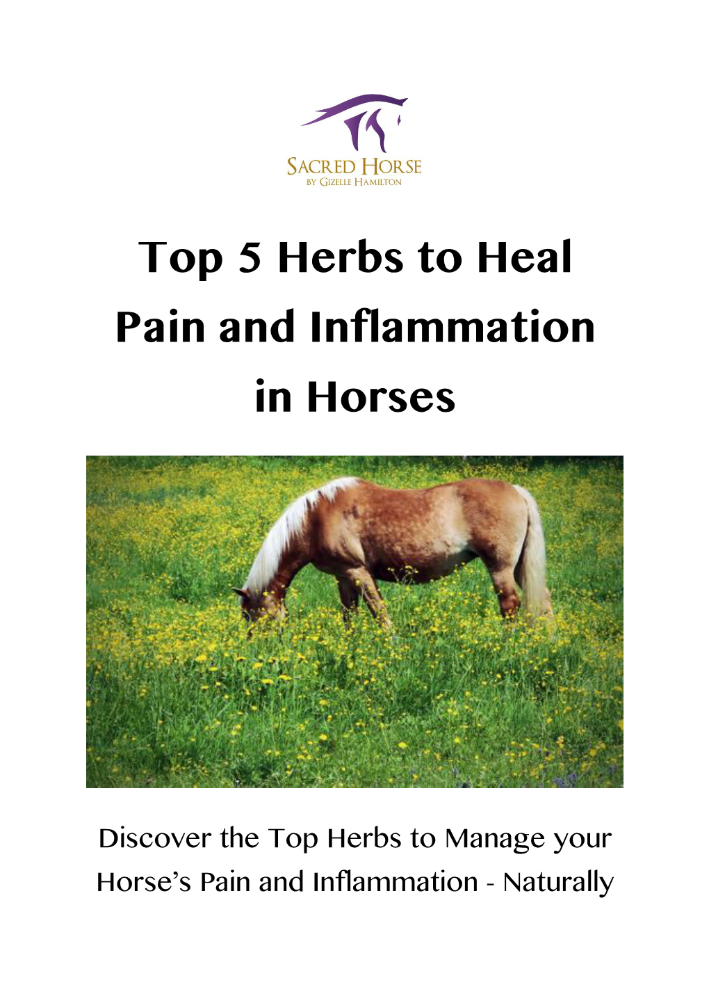 Top 5 Herbs to Heal Pain and Inflammation in Horses