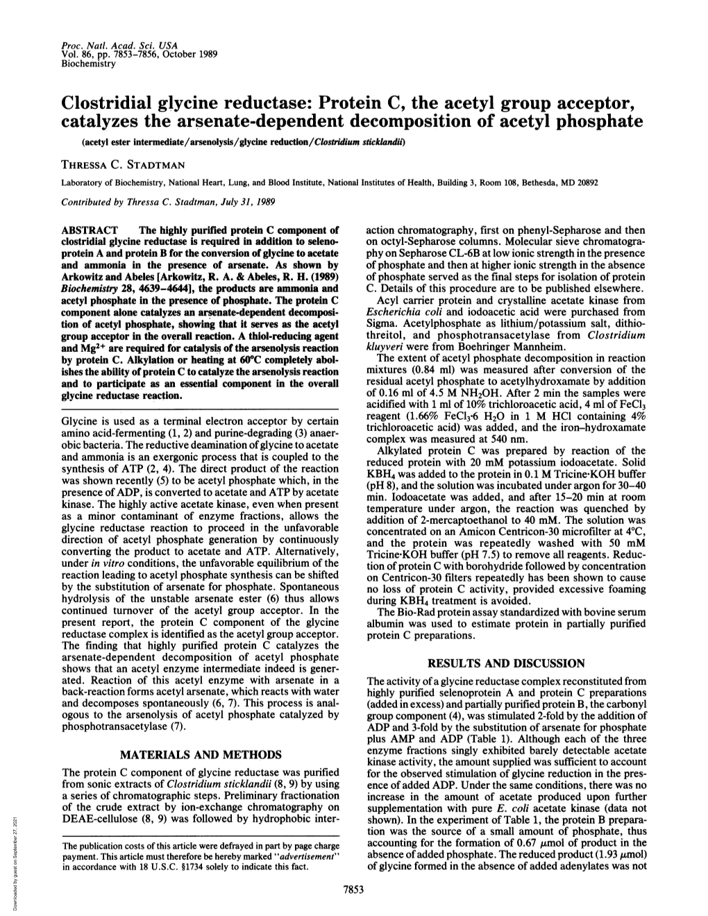 Clostridial Glycine Reductase: Protein C, the Acetyl Group Acceptor