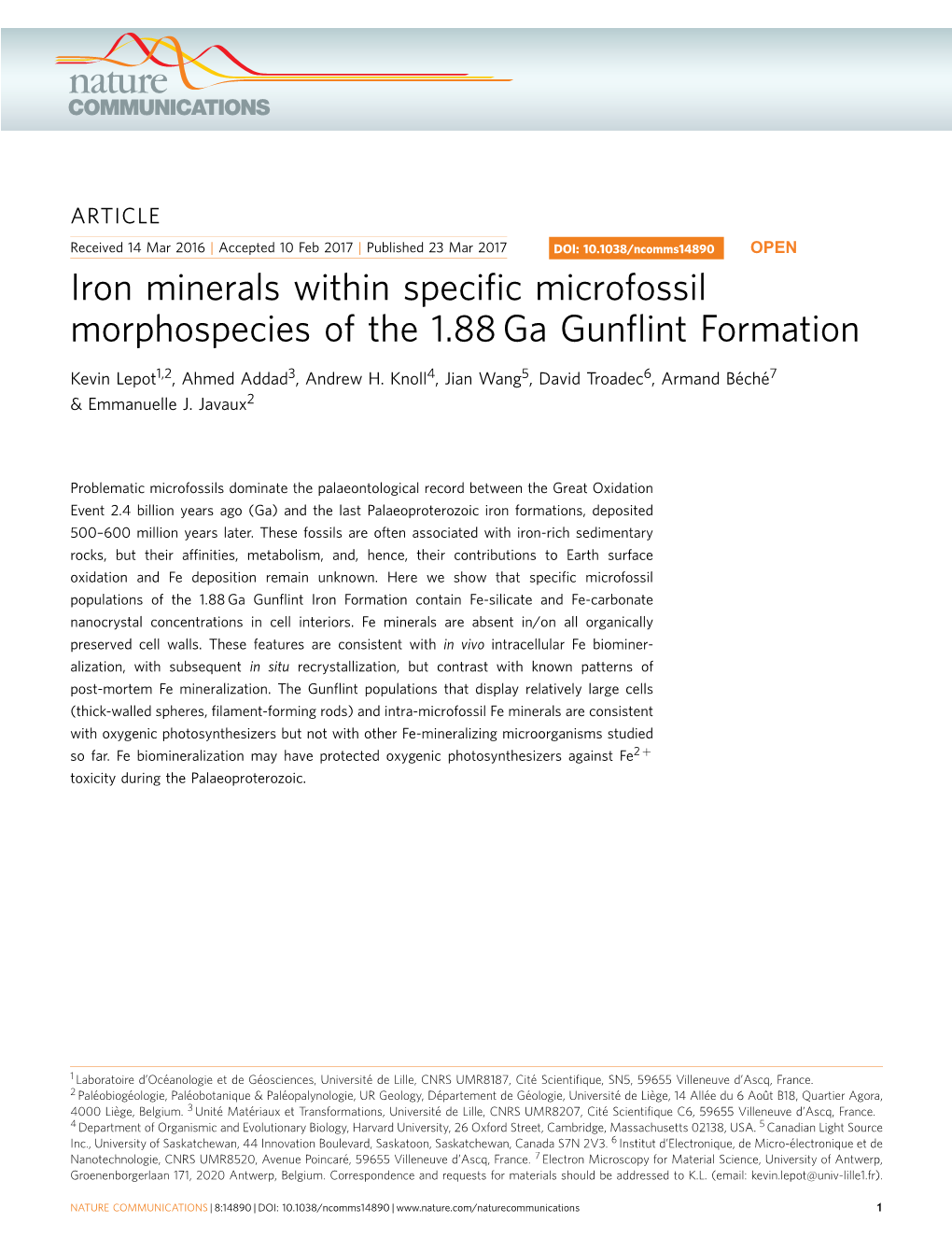 Iron Minerals Within Specific Microfossil