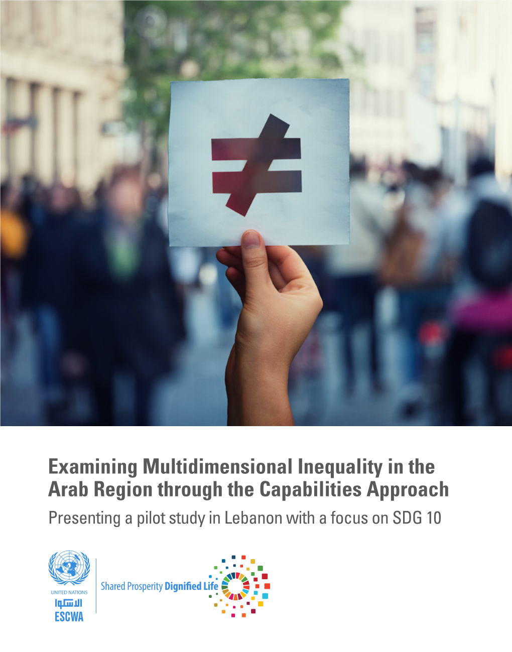Examining Multidimensional Inequality in the Arab Region Through a Capabilities Lens