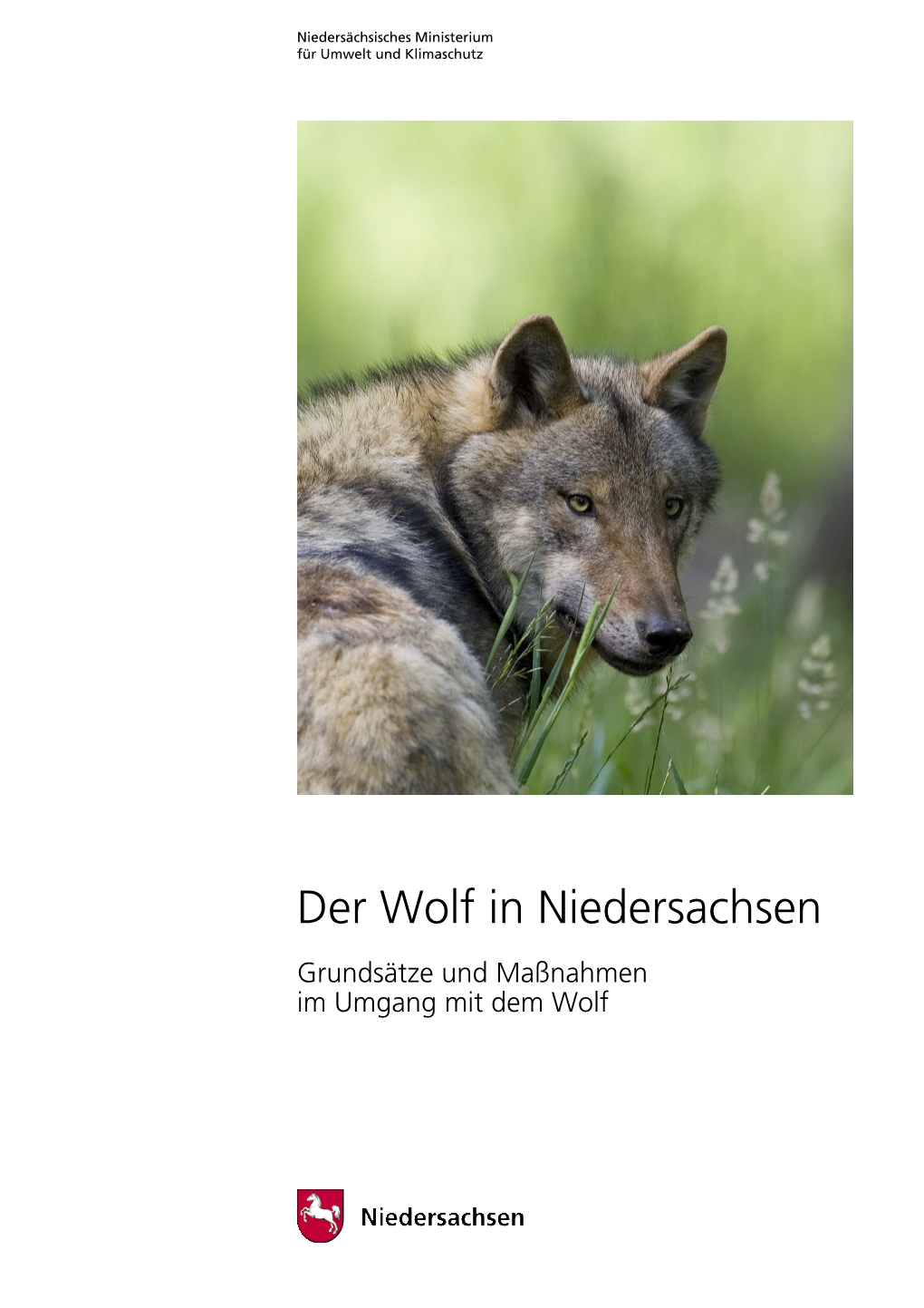 NI 2010 Leitlinien Wolf.Pdf