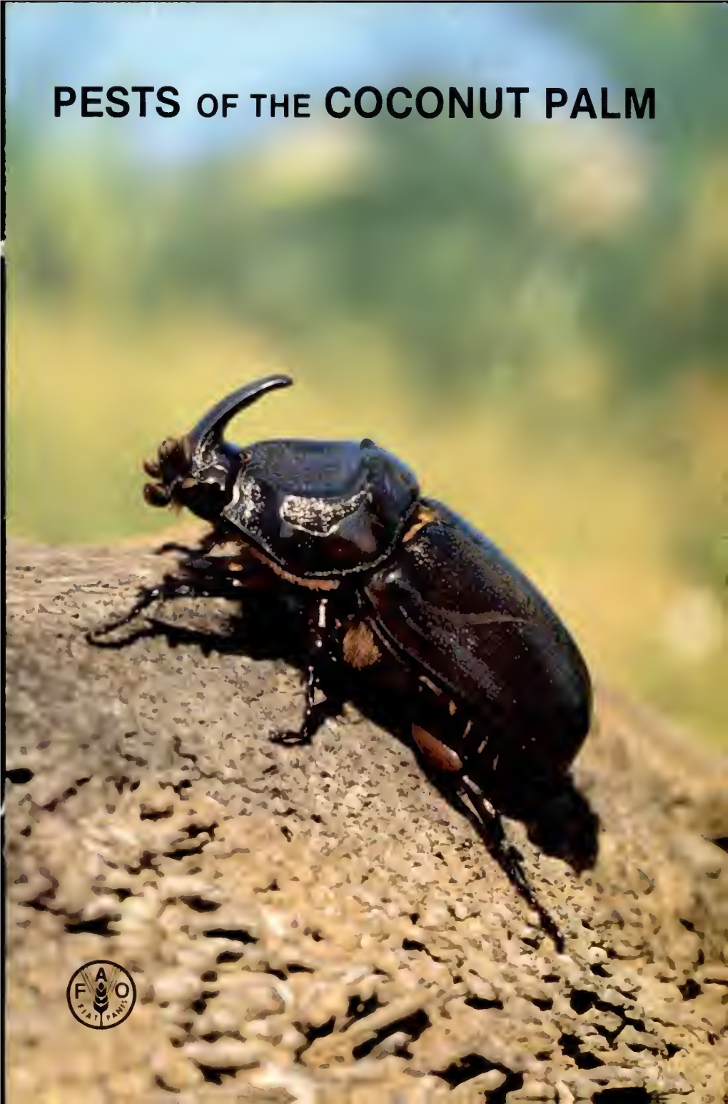 PESTS of the COCONUT PALM Mi Pests and Diseases Are Particularly Important Among the Factors Which Limit Agricultural Production and Destroy Stored Products