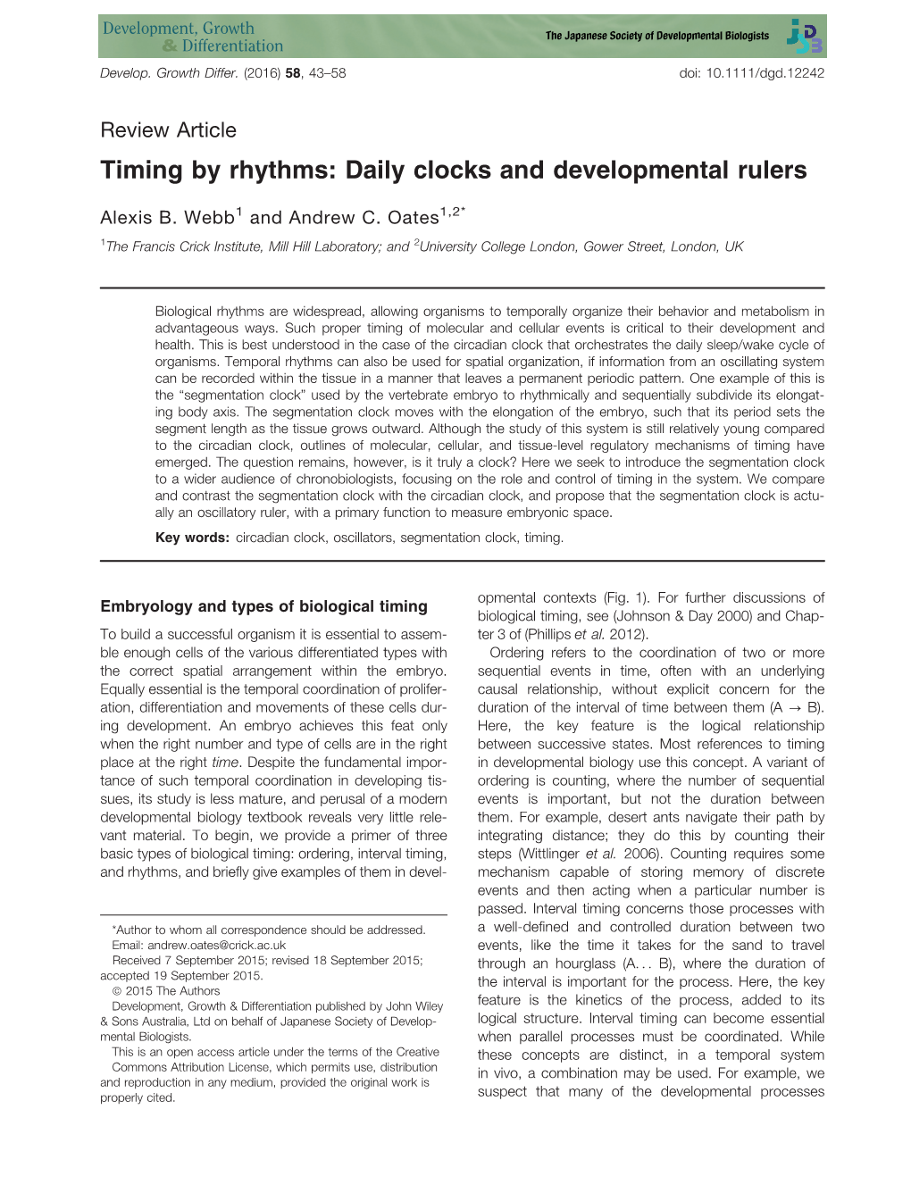 Timing by Rhythms: Daily Clocks and Developmental Rulers