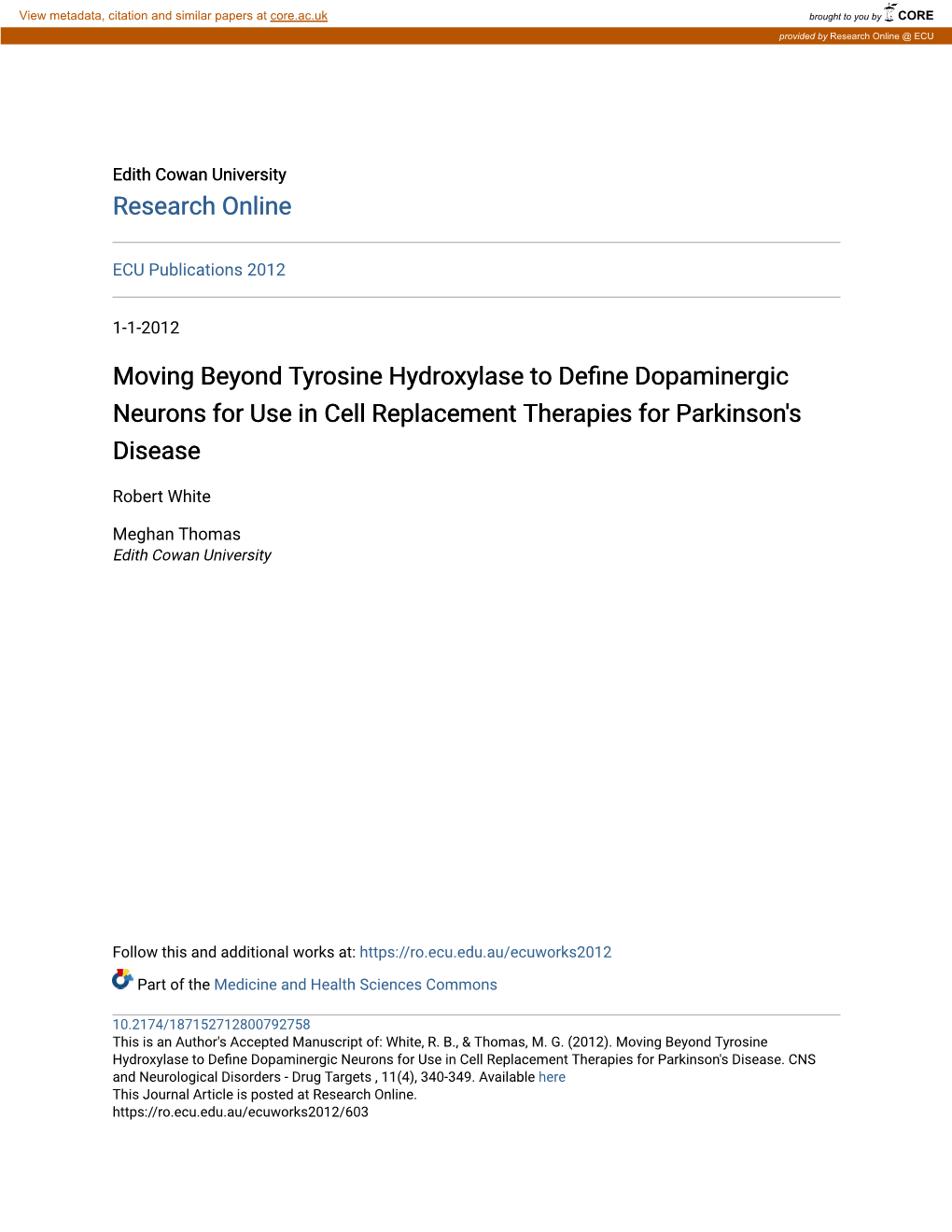 Moving Beyond Tyrosine Hydroxylase to Define Dopaminergic Neurons for Use in Cell Replacement Therapies for Parkinson's Disease