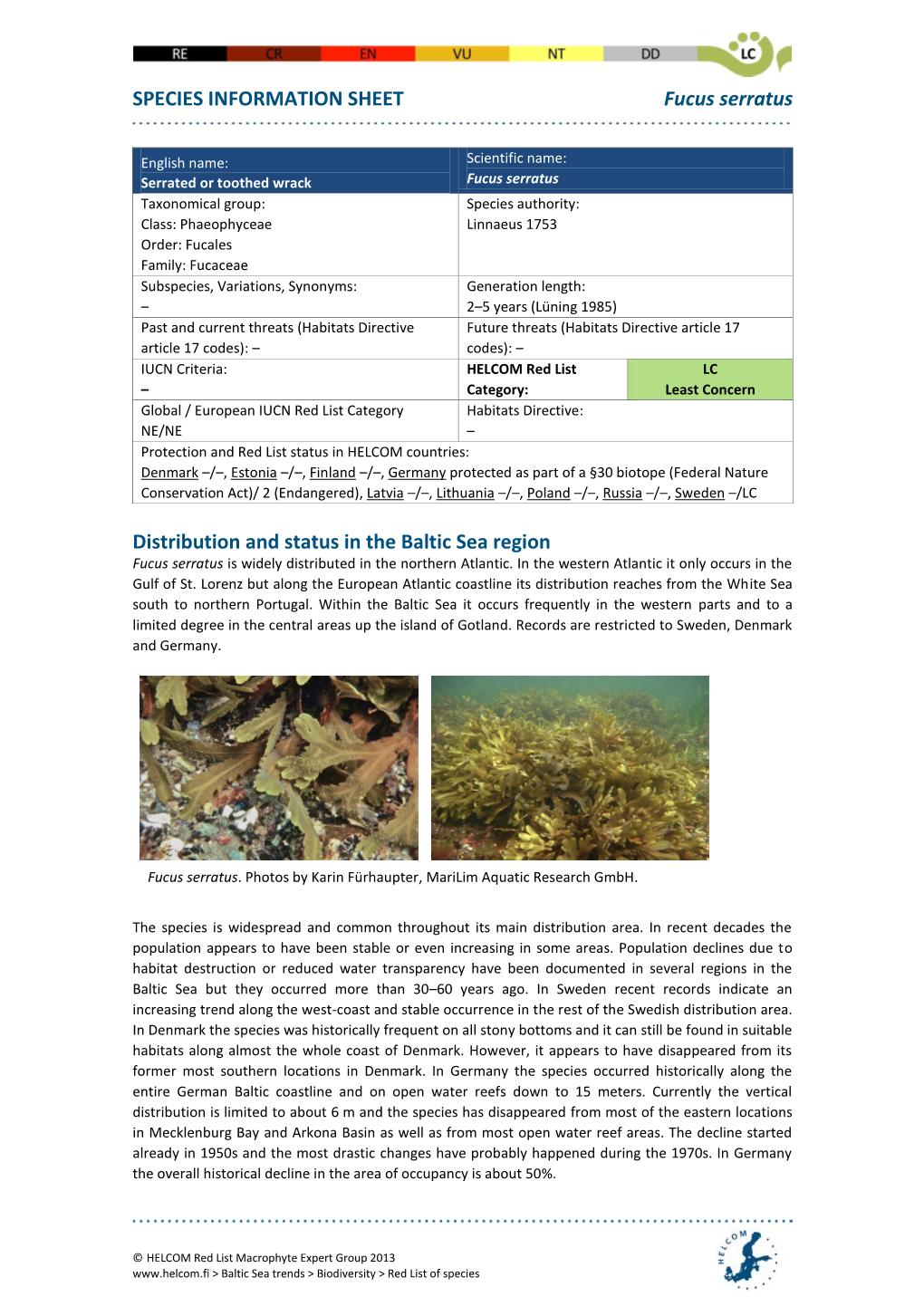 SPECIES INFORMATION SHEET Fucus Serratus