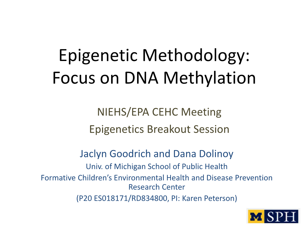 Epigenetic Methodology: Focus on DNA Methylation