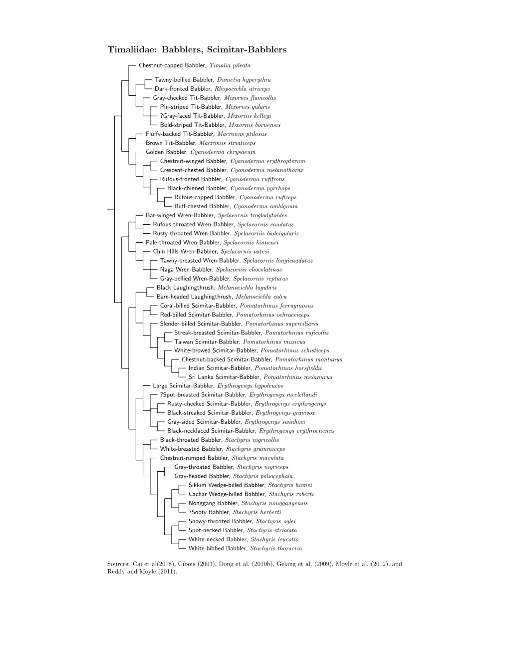 Timaliidae Species Tree