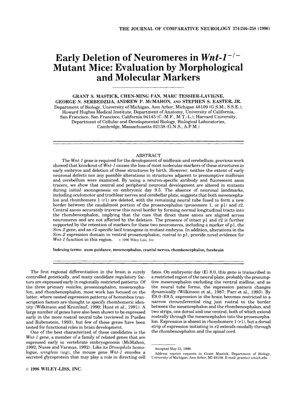 Early Deletion of Neuromeres in Wnt-L-/- Mutant Mice: Evaluation by Morphological and Molecular Markers