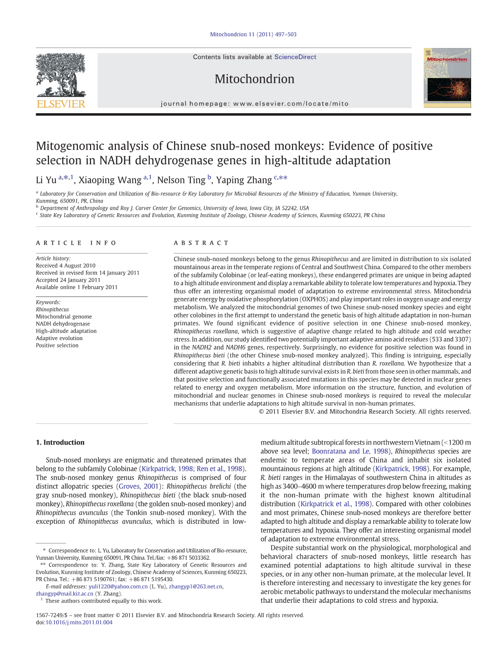 Mitogenomic Analysis of Chinese Snub-Nosed Monkeys: Evidence of Positive Selection in NADH Dehydrogenase Genes in High-Altitude Adaptation