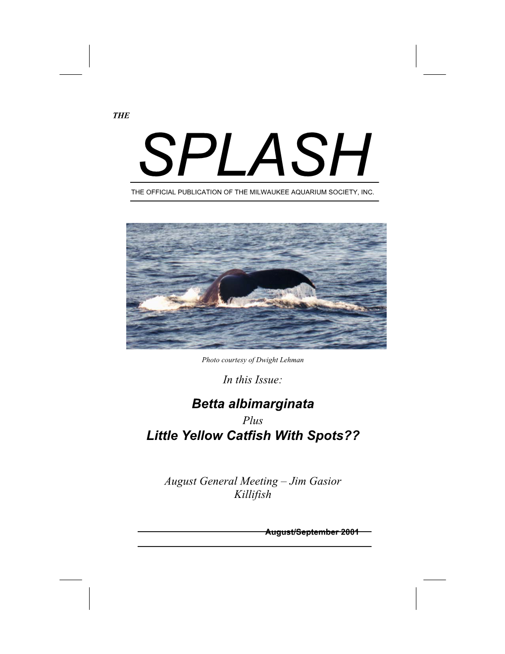 Splash-August-September-2001