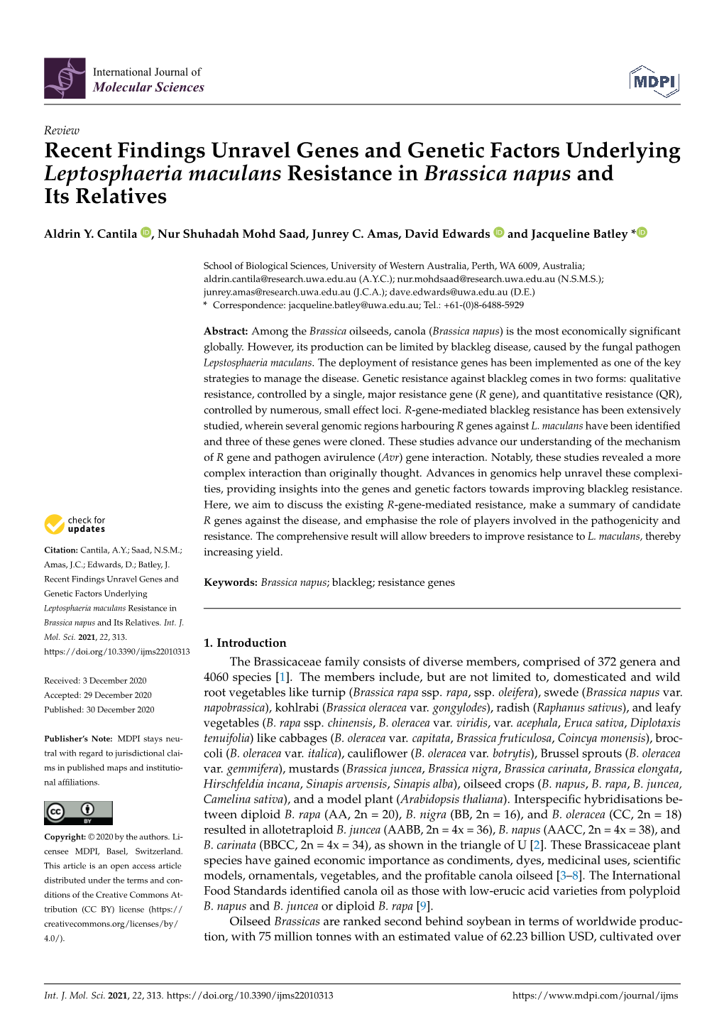 Recent Findings Unravel Genes and Genetic Factors Underlying Leptosphaeria Maculans Resistance in Brassica Napus and Its Relatives