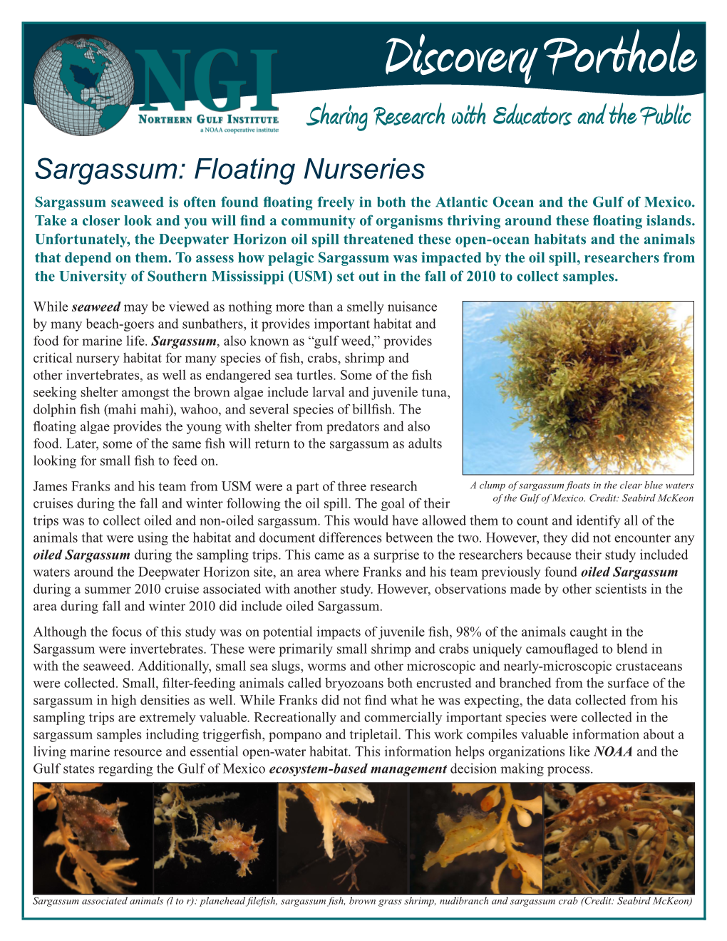 Sargassum Floating Nurseries