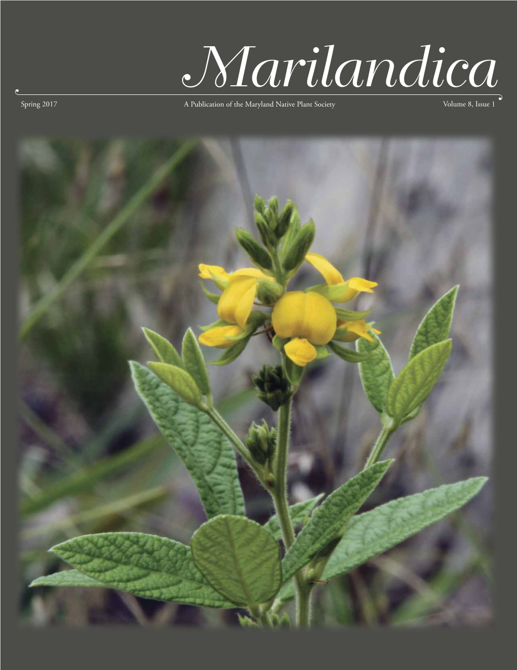 Spring 2017 Volume 8, Issue 1 a Publication of the Maryland Native