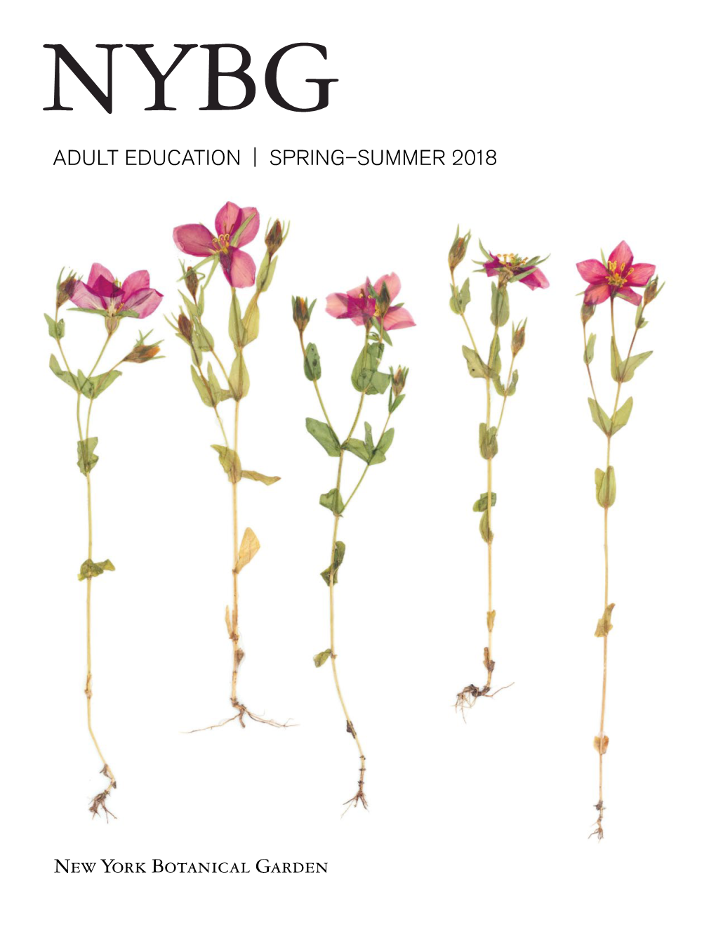 ADULT EDUCATION | SPRING–SUMMER 2018 Welcome to 2018! If You Have Never Taken a Class with Us Before…Welcome to the Catalog