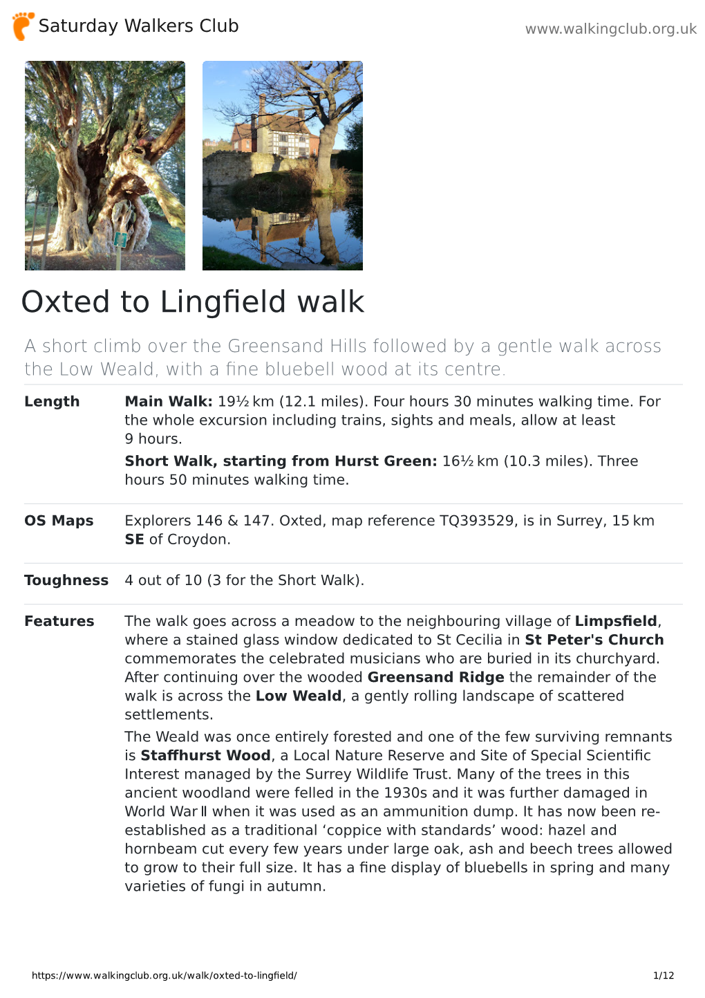 Oxted to Lingfield Walk