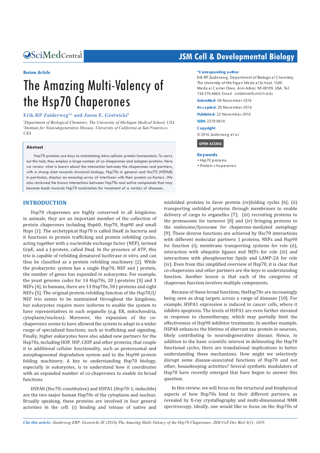 The Amazing Multi-Valency of the Hsp70 Chaperones