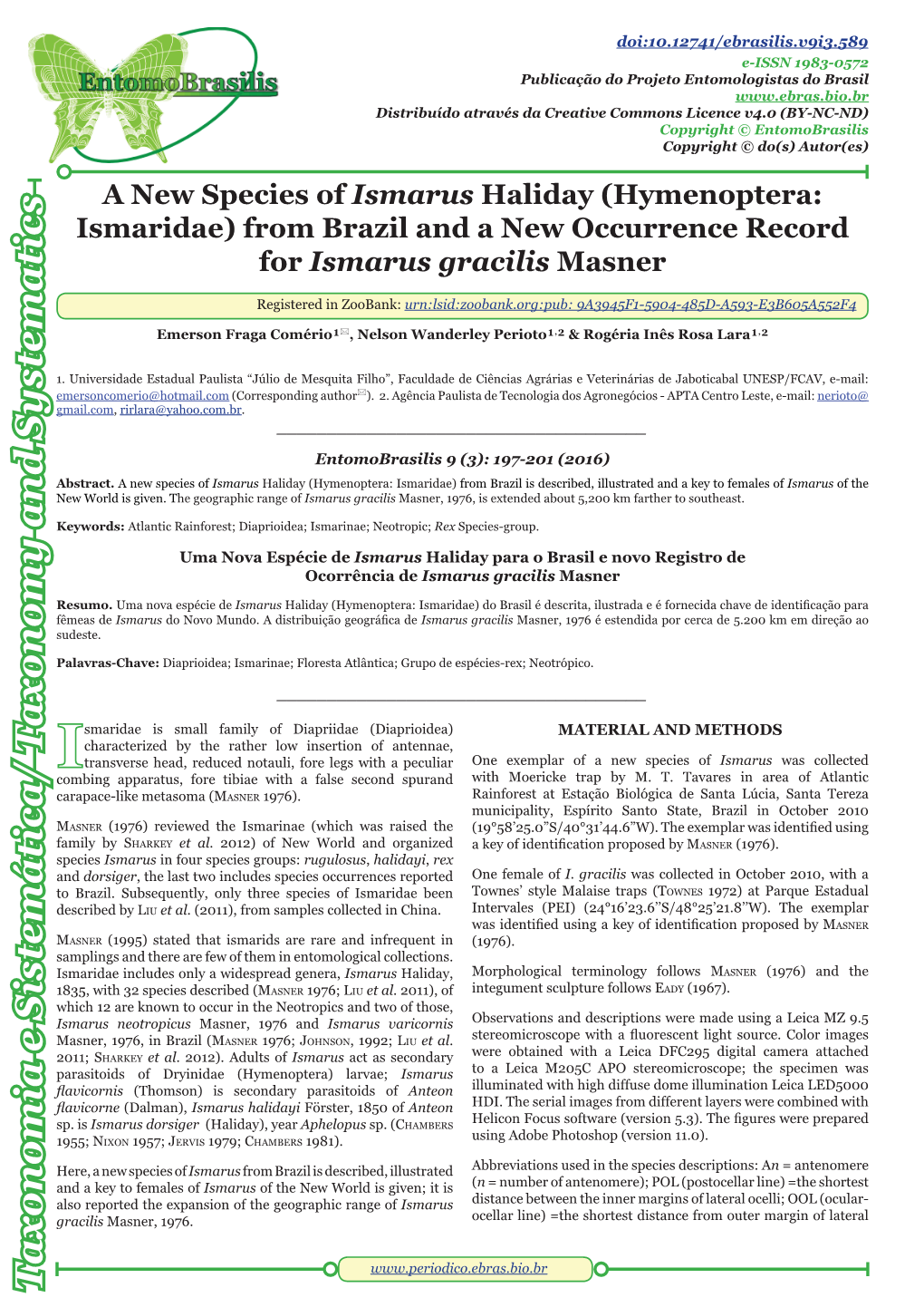(Hymenoptera: Ismaridae) from Brazil and a New Occurrence Record for Ismarus Gracilis Masner