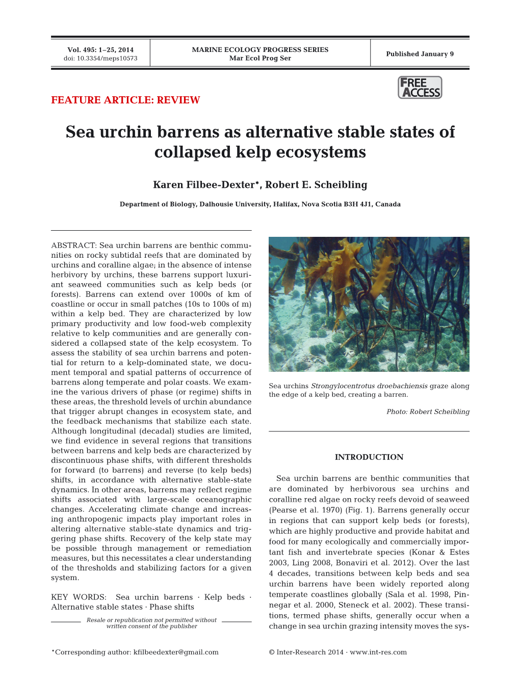 Urchin Barrens As Alternative Stable States of Collapsed Kelp Ecosystems