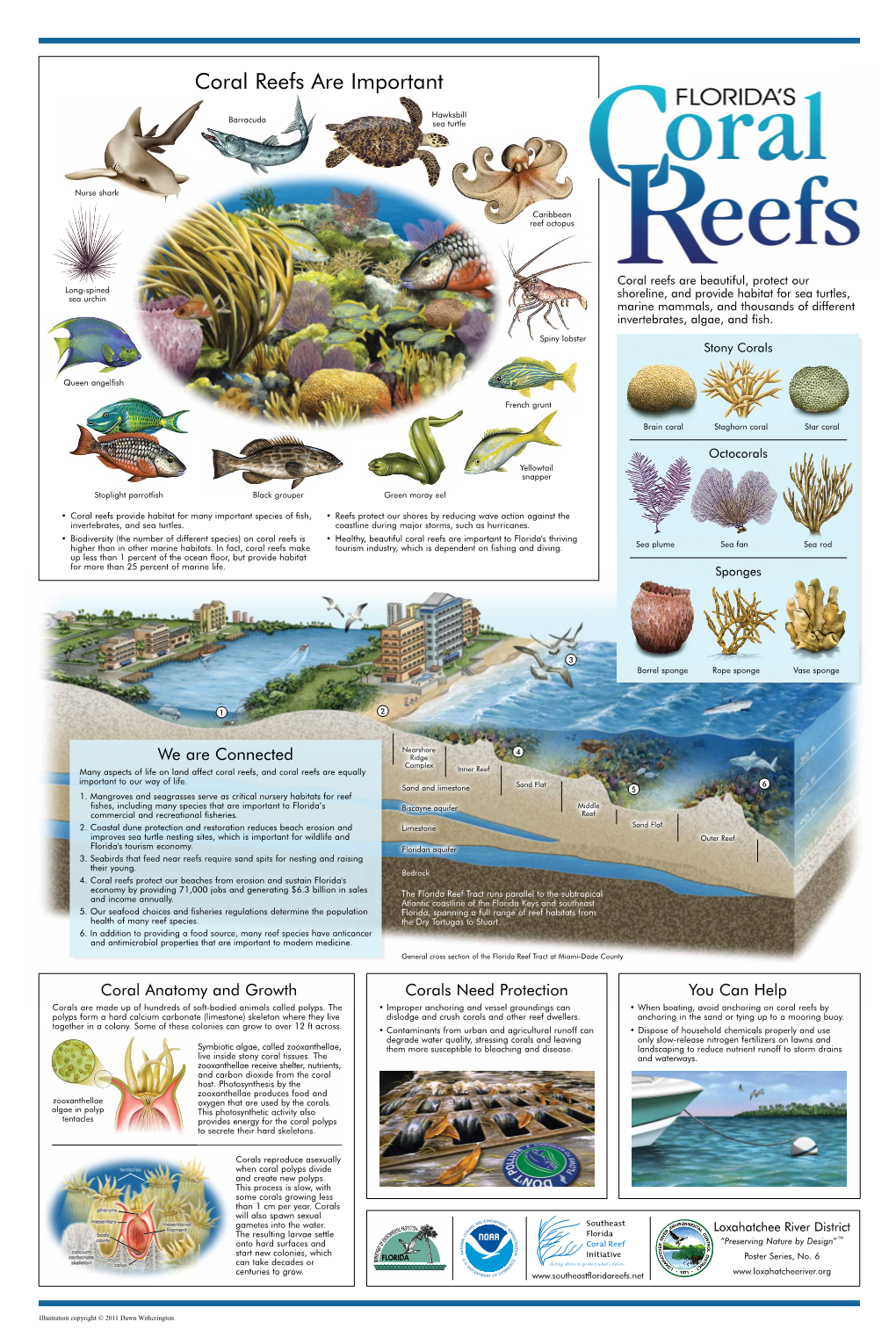 Coral Reefs Are Important