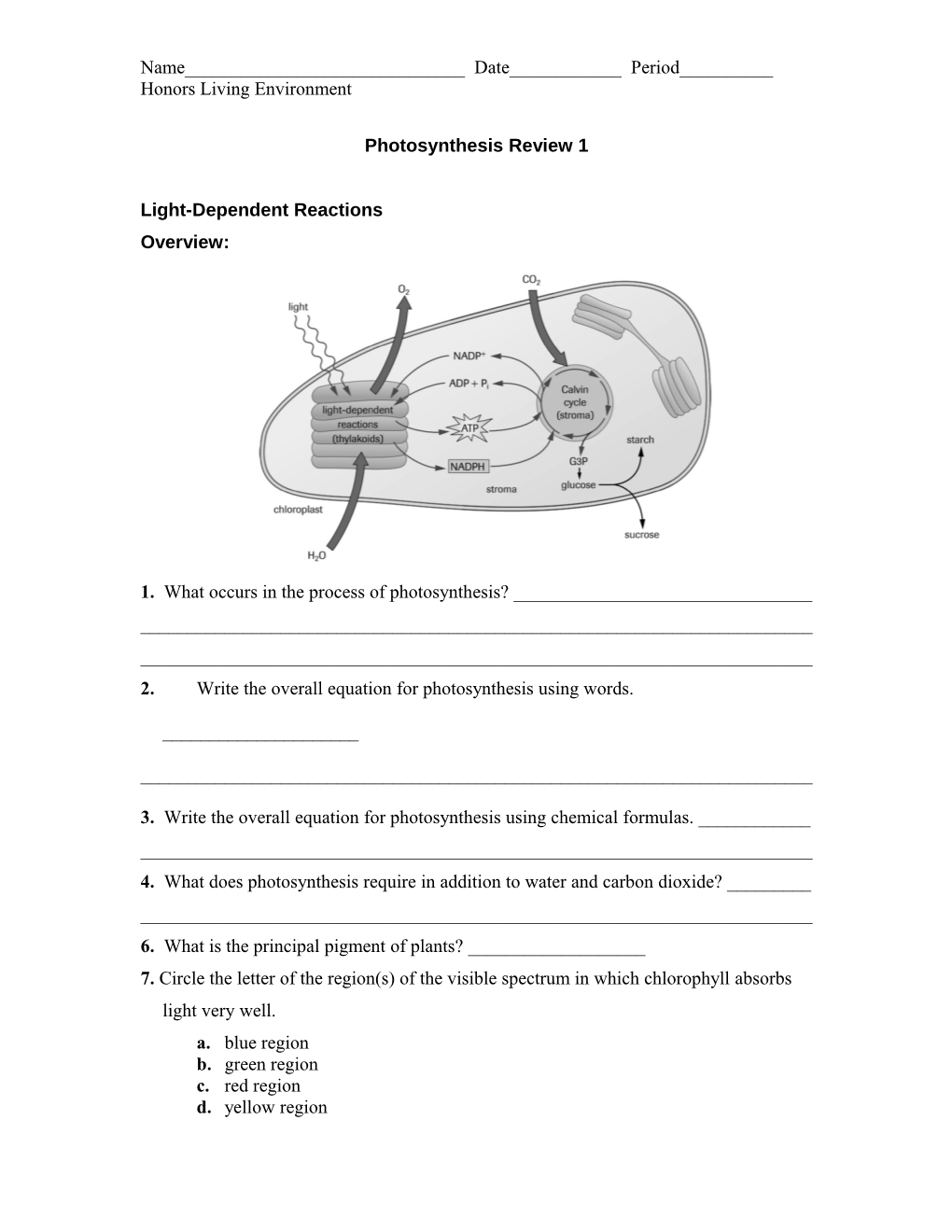 Biology 20 Photosynthesis Worksheet