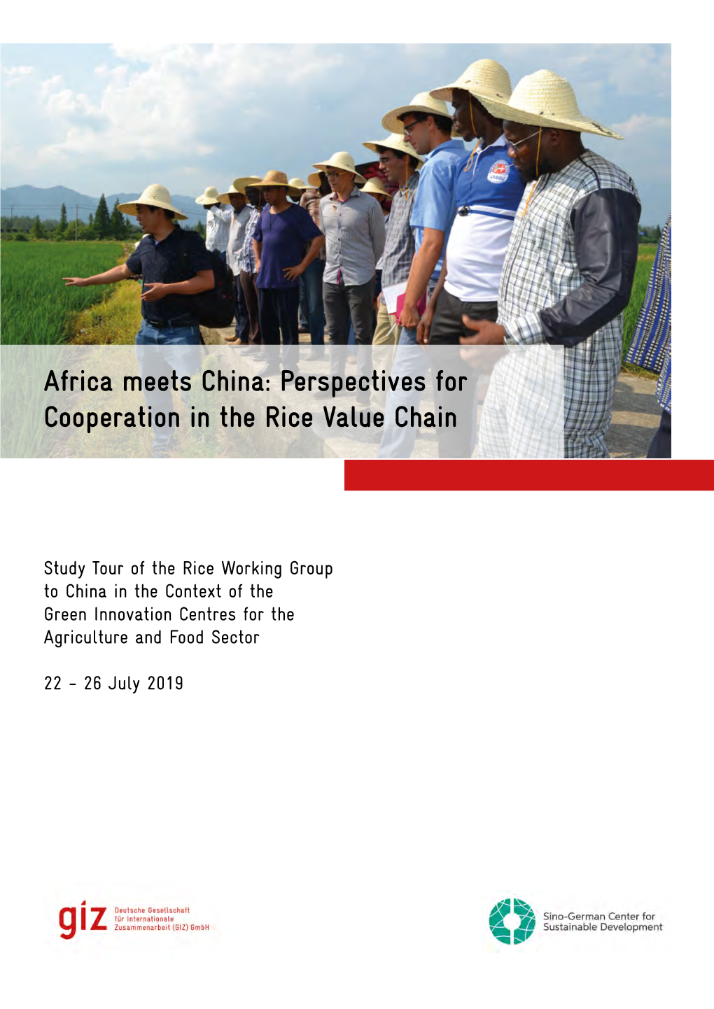 Africa Meets China: Perspectives for Cooperation in the Rice Value Chain